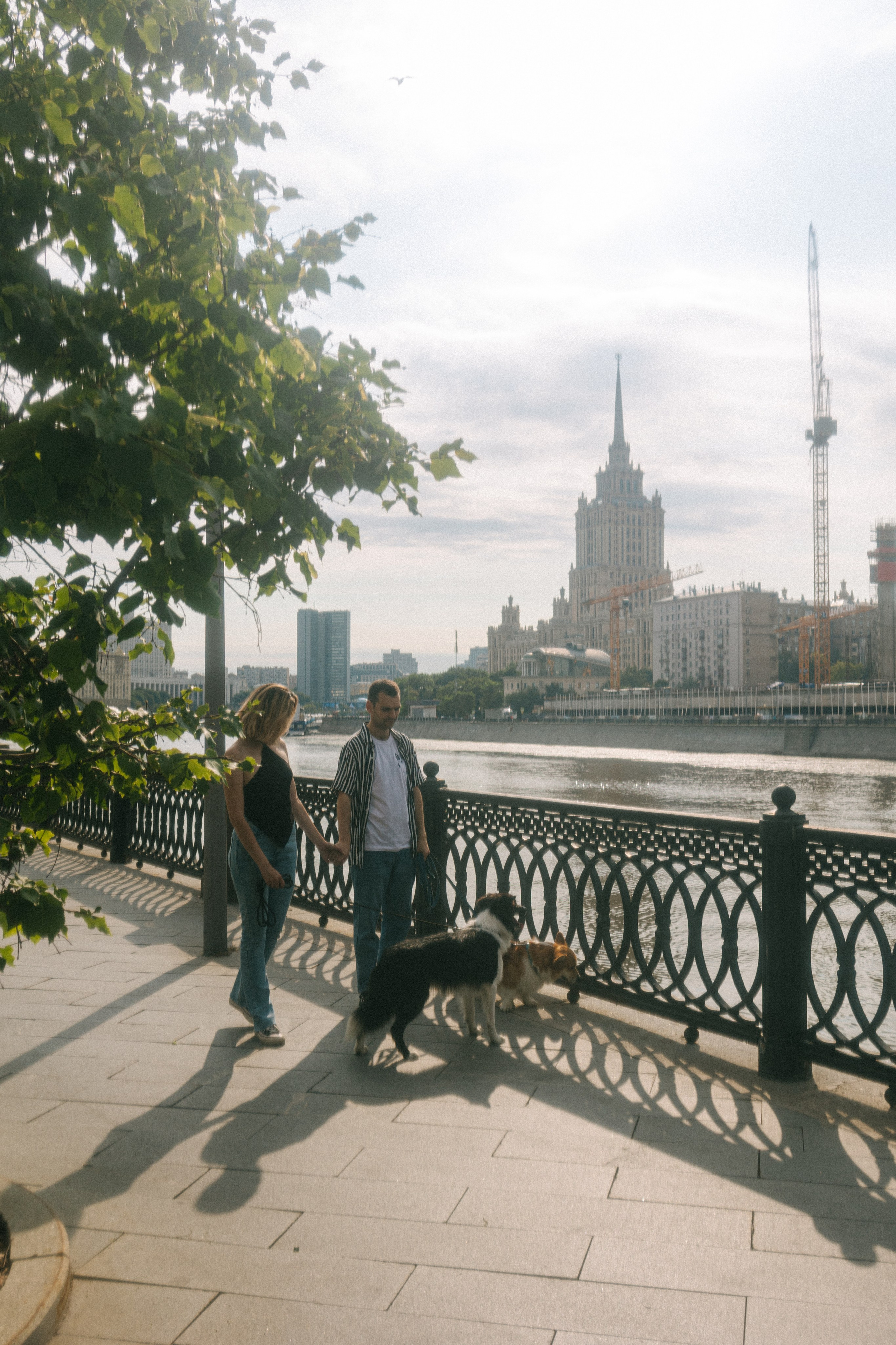Брюс, Вейв и их ро. Фотораф — анималист Мария Шистка