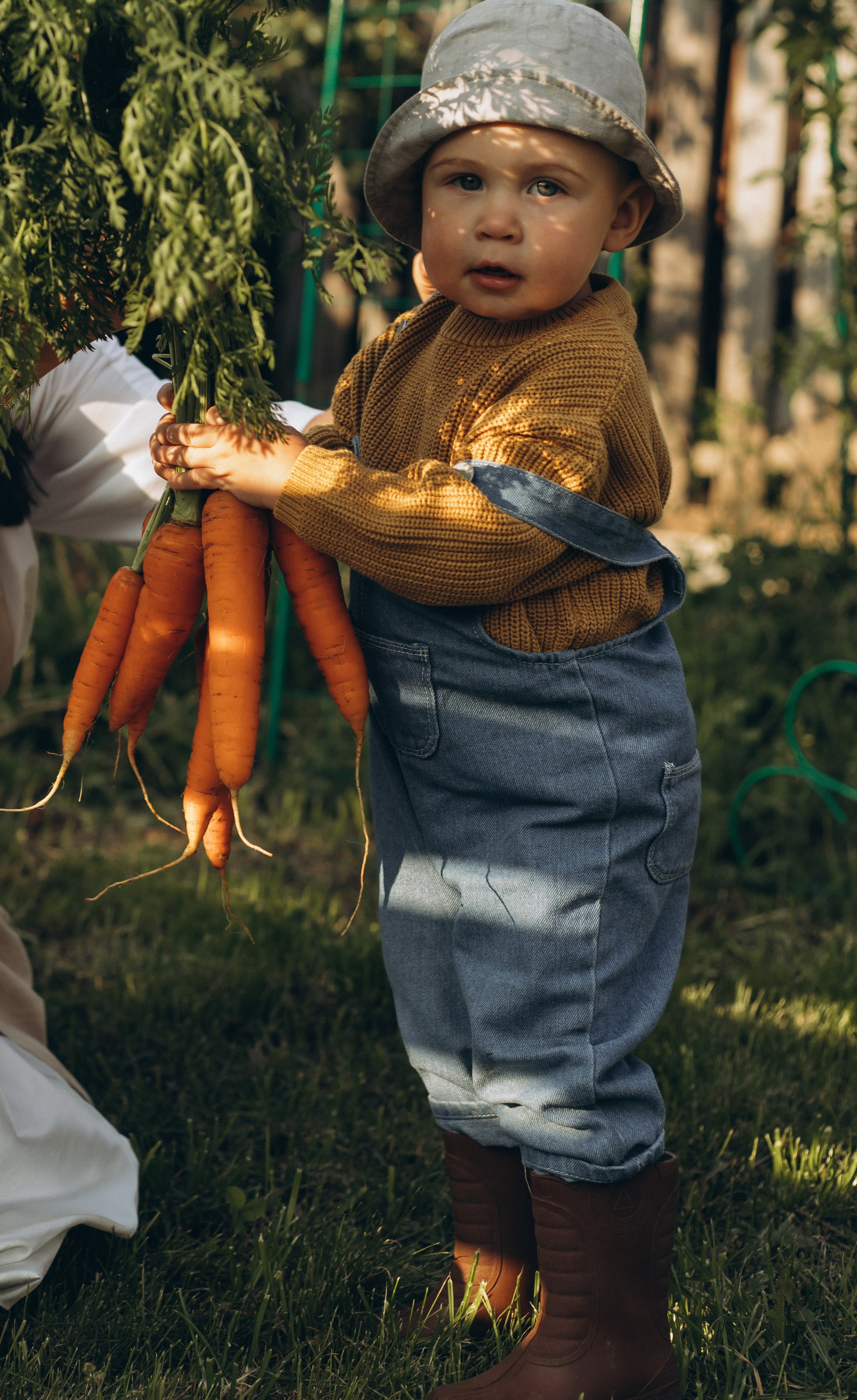 Морковная история 🥕🧡. Услуги