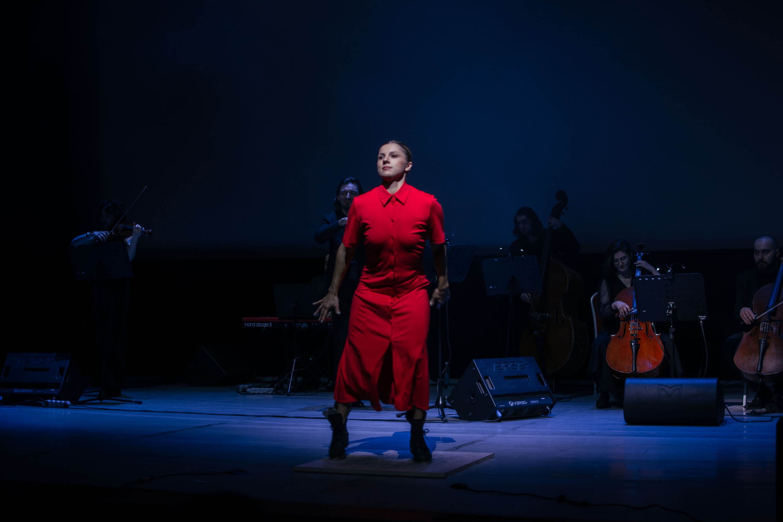 Концерт оркестра Cinematica. Репортажный фотограф в Новосибирске