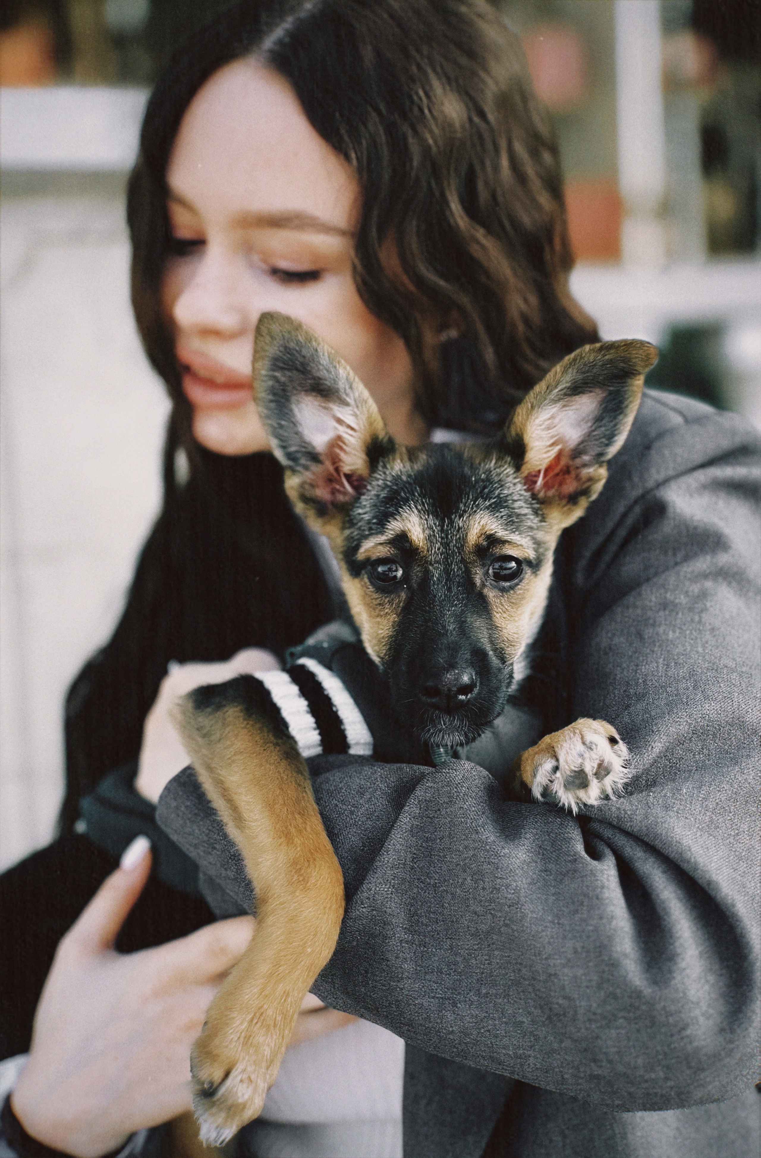 Дама с собачкой. Чувственный мобильный фотограф в Казани и Сочи Дьяченко Дарья