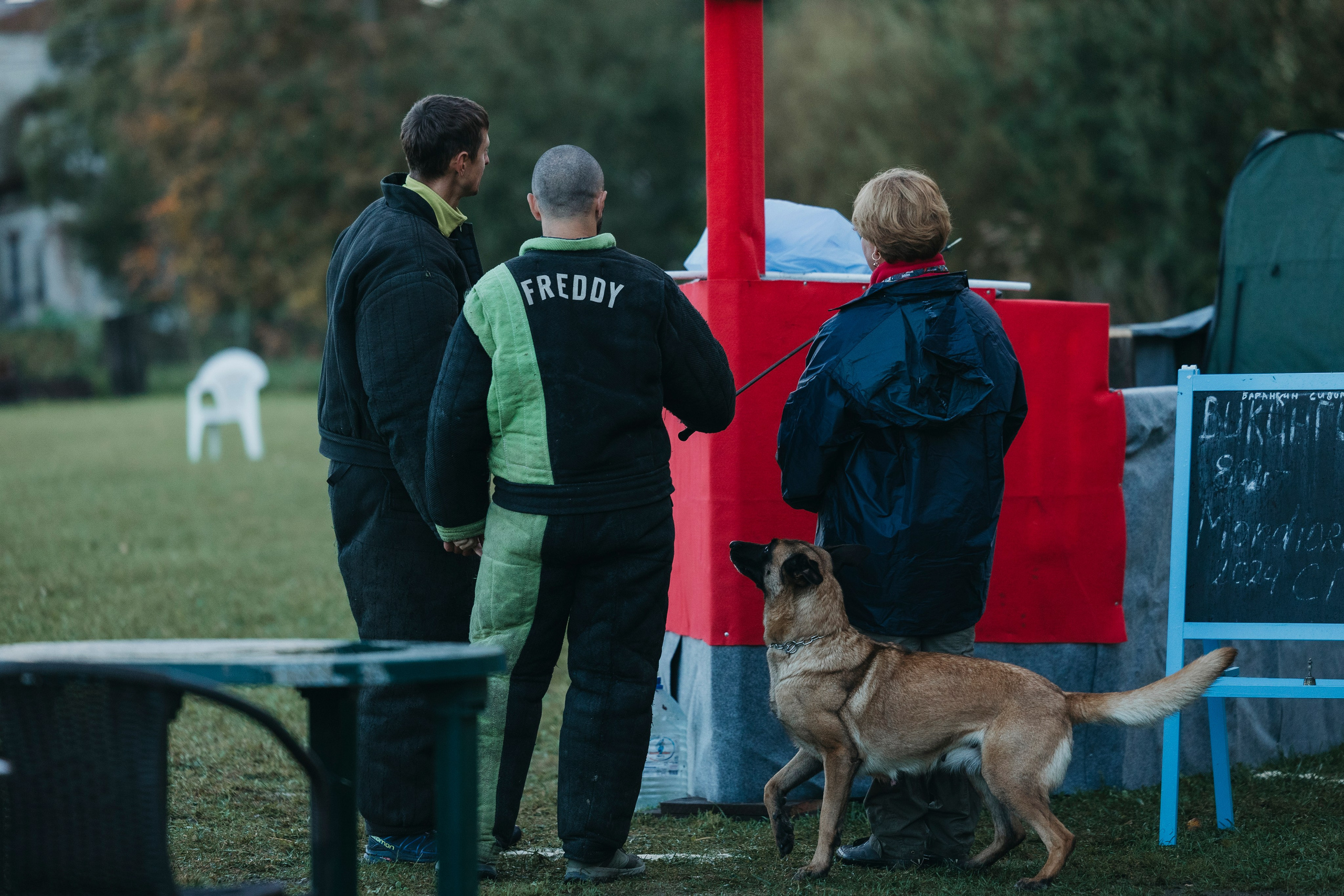 Испытания по мондьорингу г. Пушкин 29.09.2024. Фотограф-анималист Анна Маринич