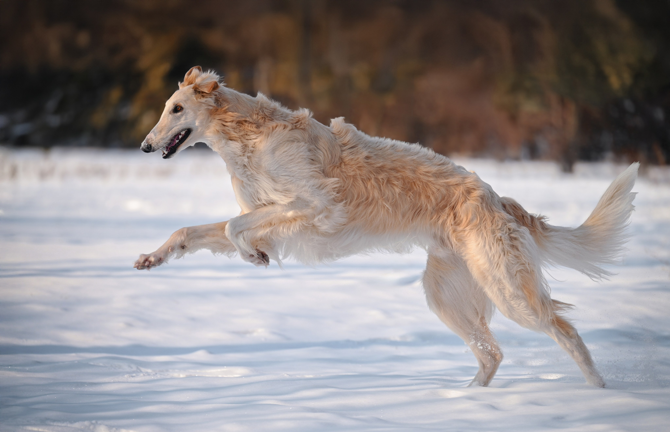 Фотограф в Ростове —на — Дону