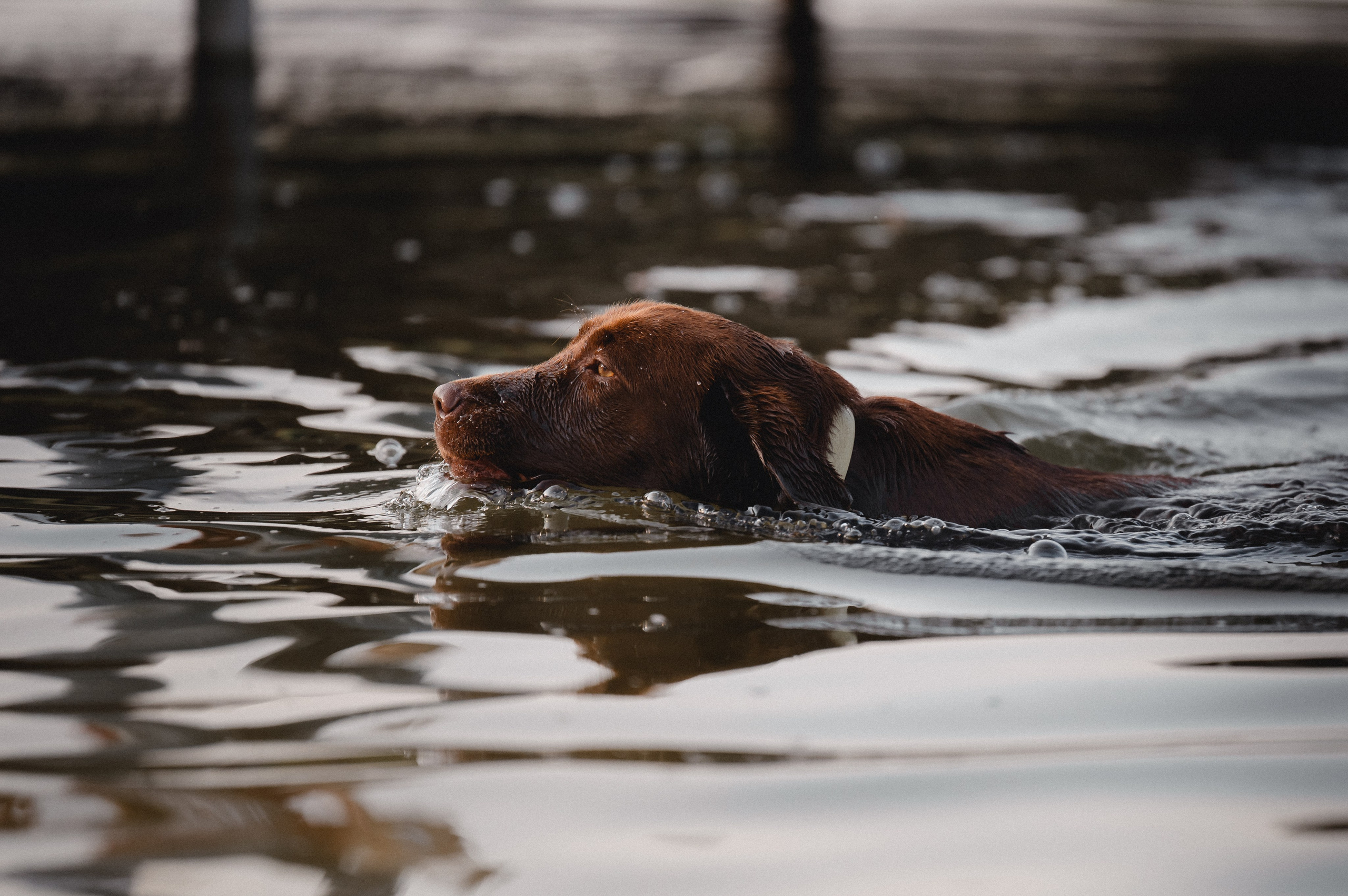 Анечка и Дэя. Фотограф в Ростове —на — Дону