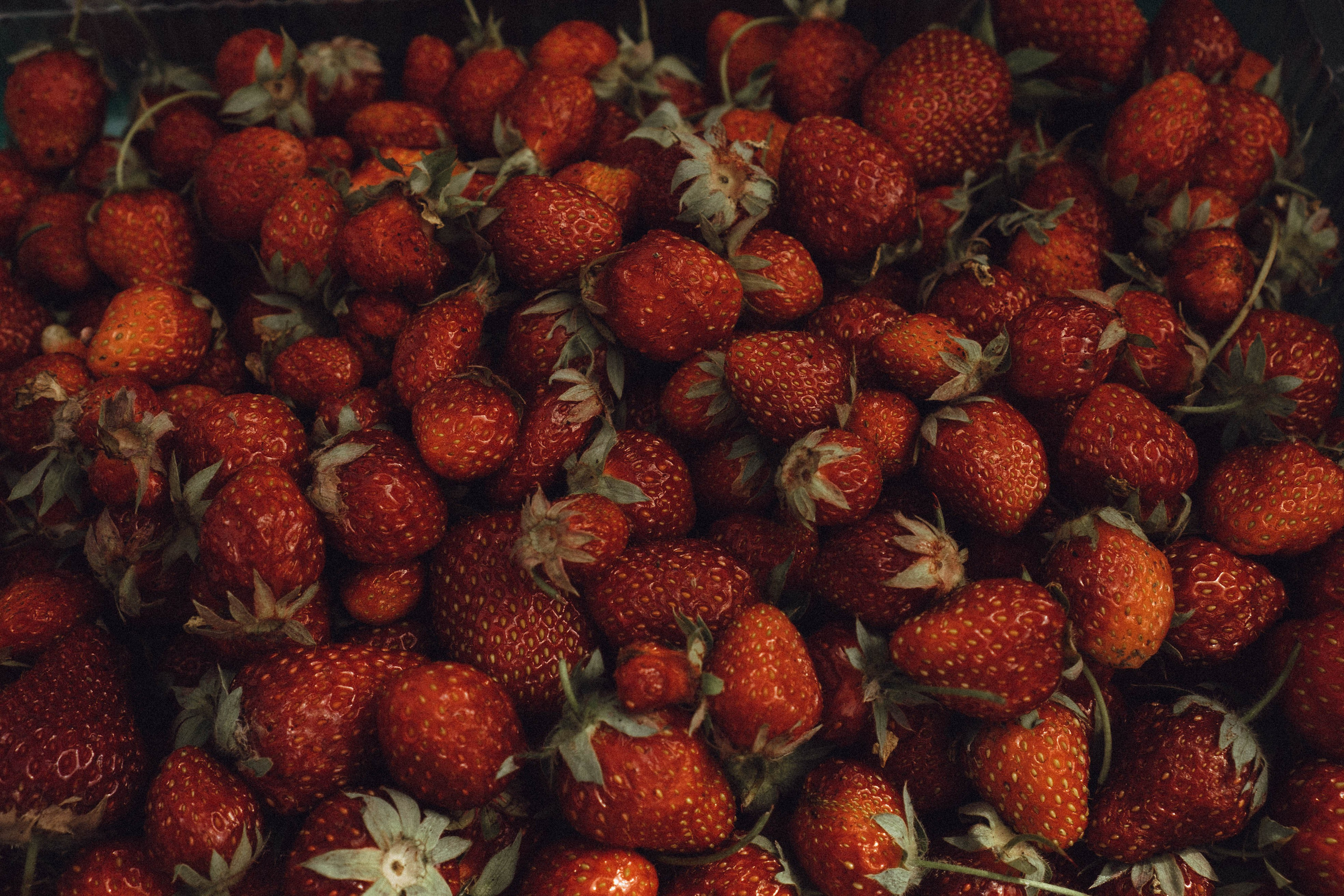 Кавказ. Профессиональный фотограф, Санкт-Петербург — Виктория Богомолова