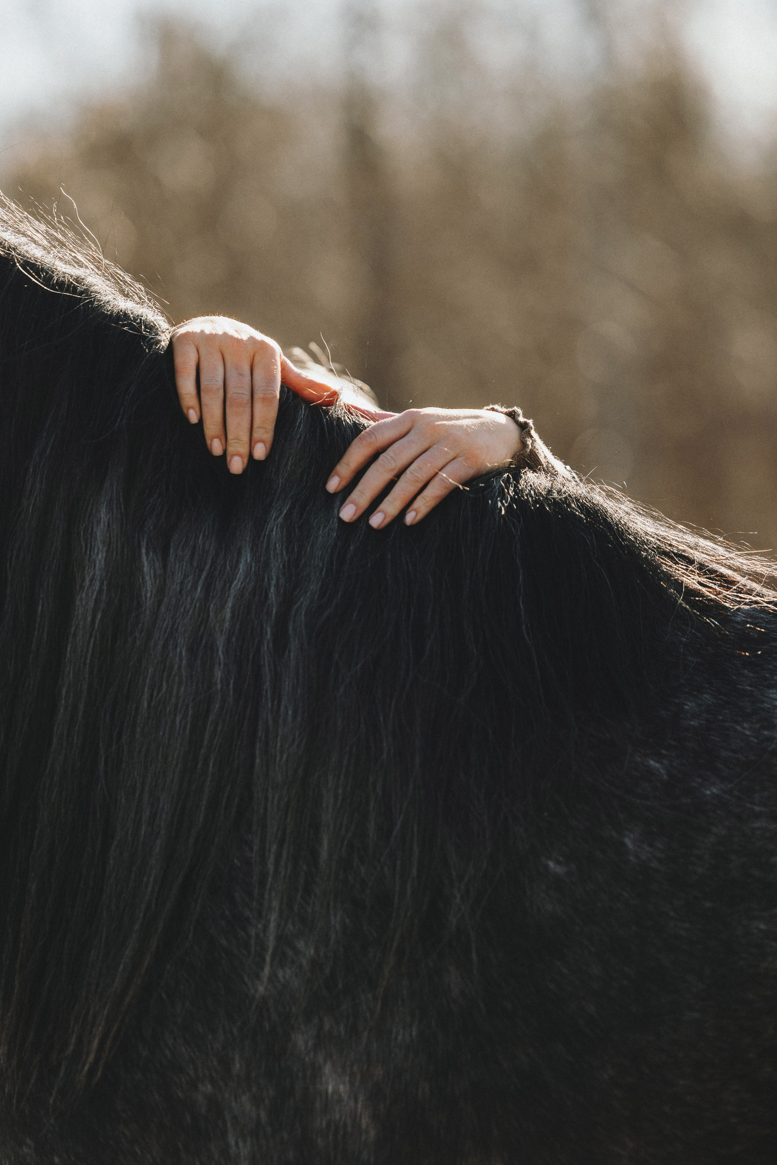 Ирина и Командор. Фотограф анималист Осипчикова Мария