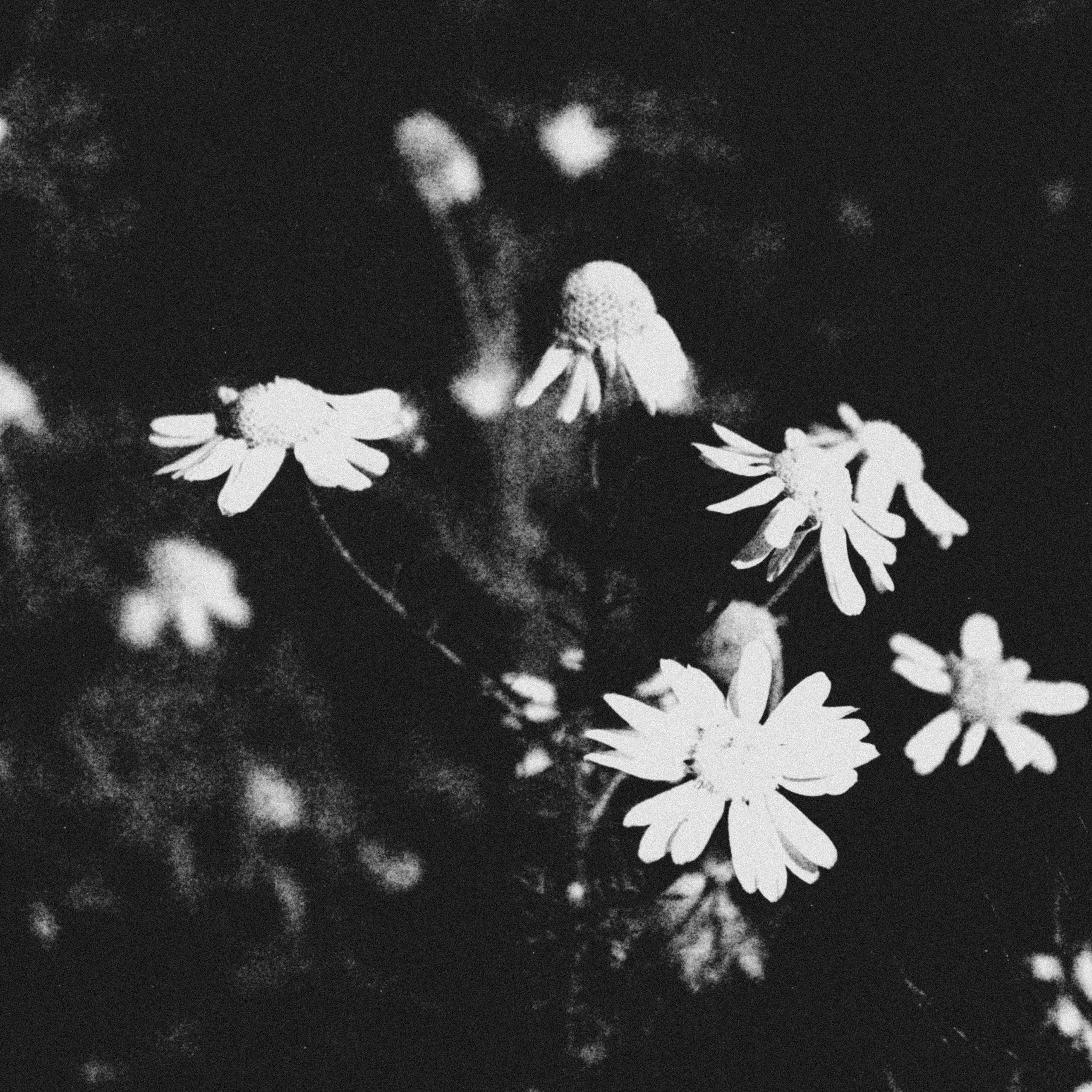 Summertime. Фотограф/дизайнер в Екатеринбурге Хитрый Дмитрий