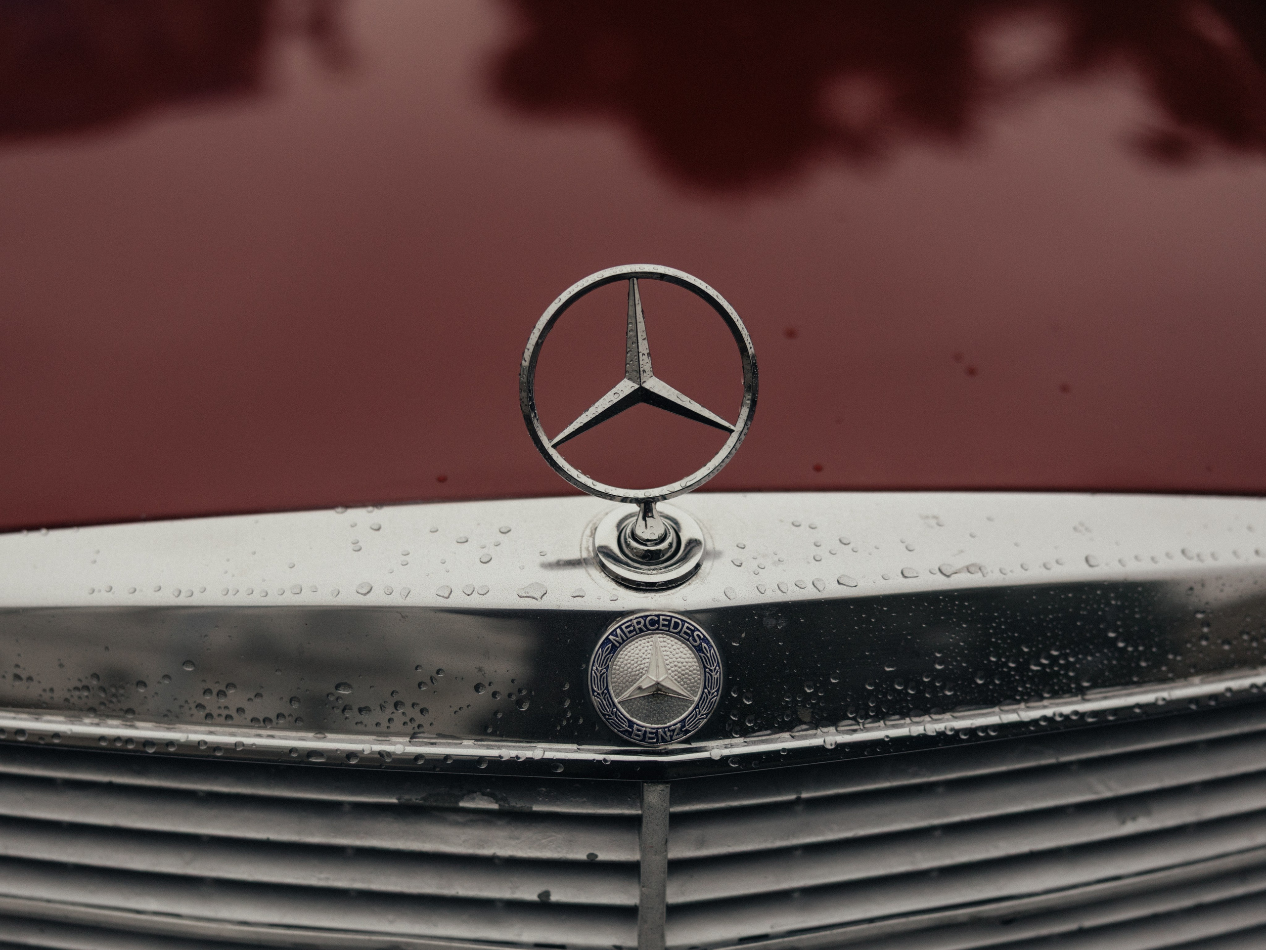 Lady in red. Фотограф Санкт-Петербург