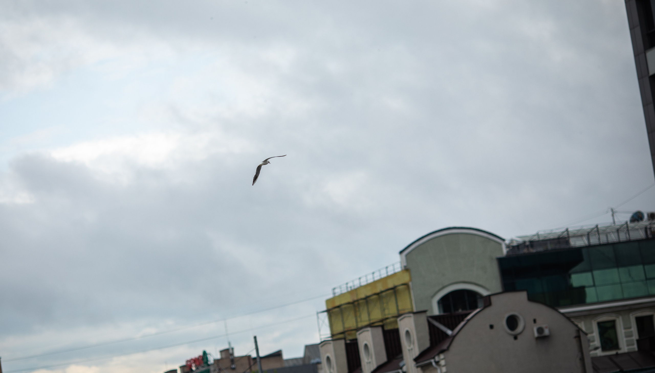 Время Новых -2025. Репортажный и свадебный фотограф в Челябинске Елисеев Павел