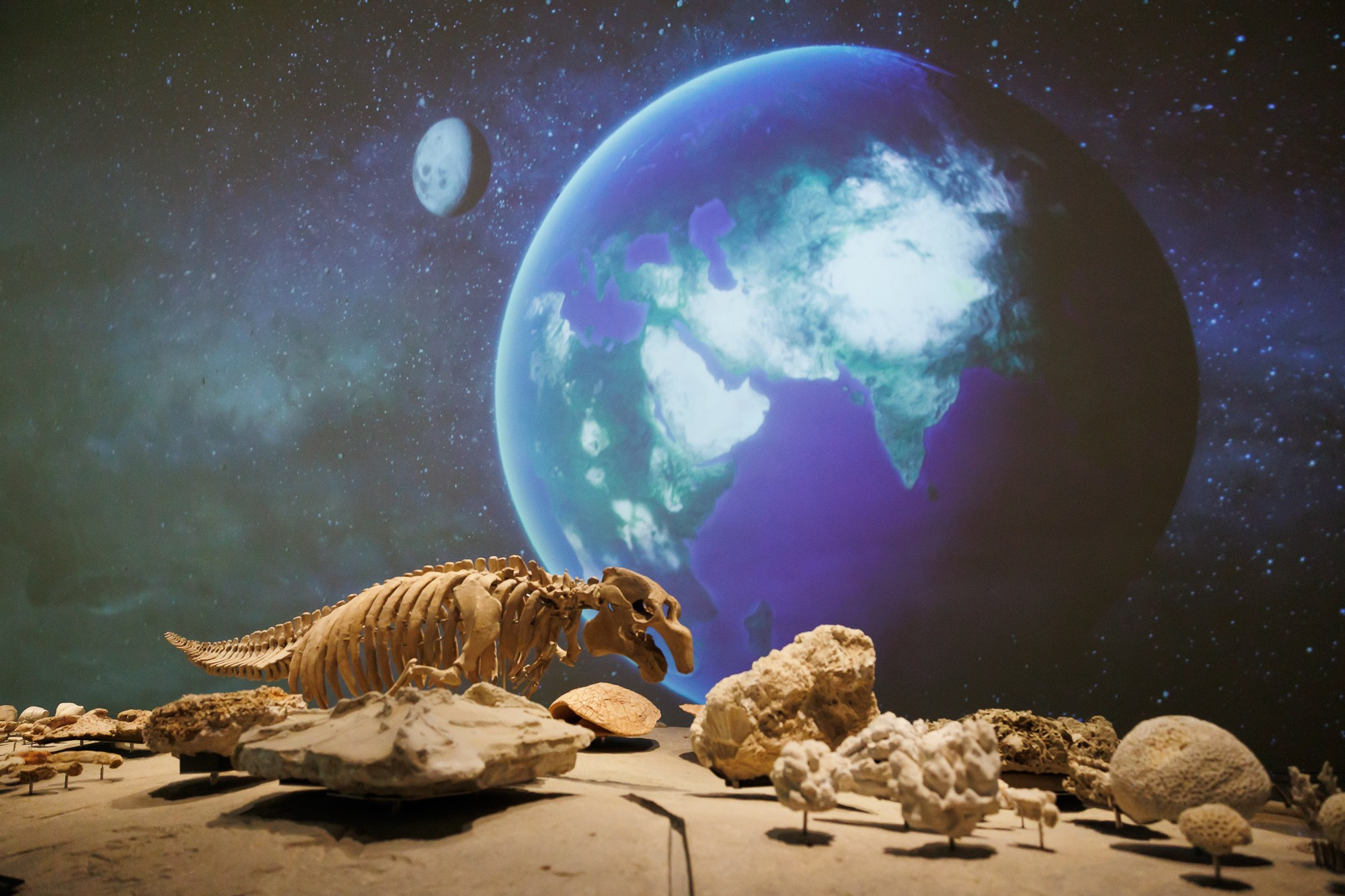 Корпоративный выезд в Qatar. Фотограф Дмитрий Елисеев