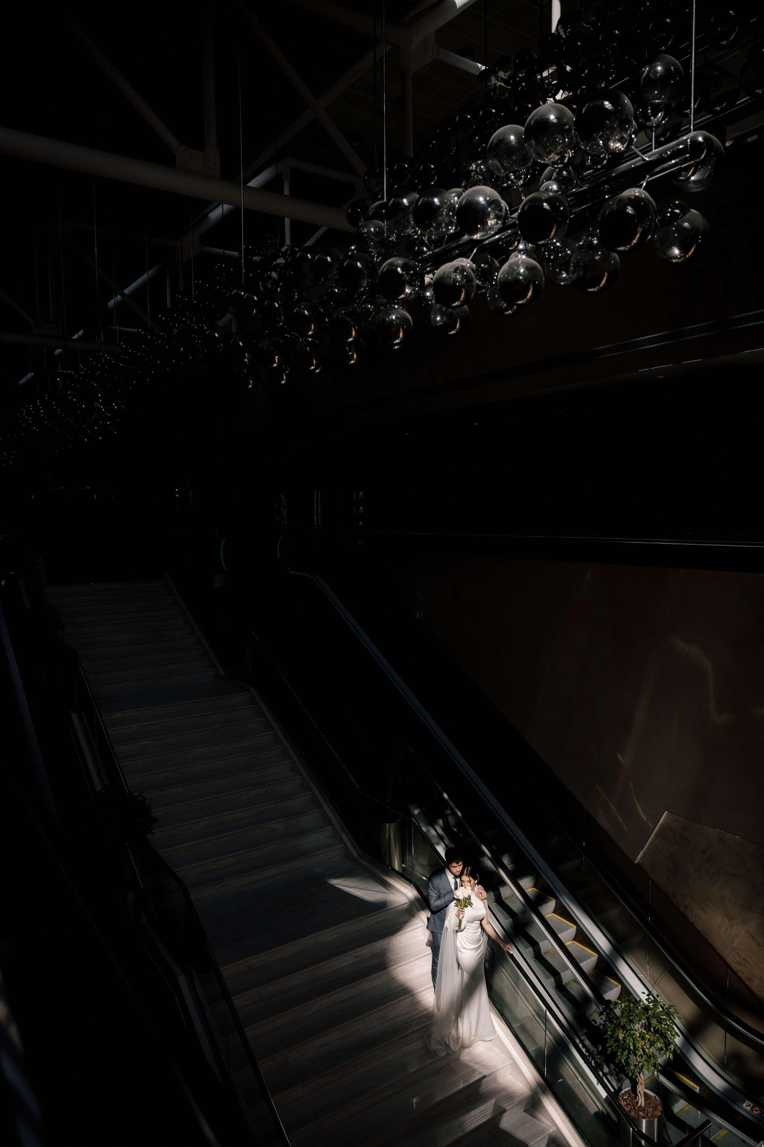 Valeria & Daniel. Свадебный и семейный фотограф Вероника Холод