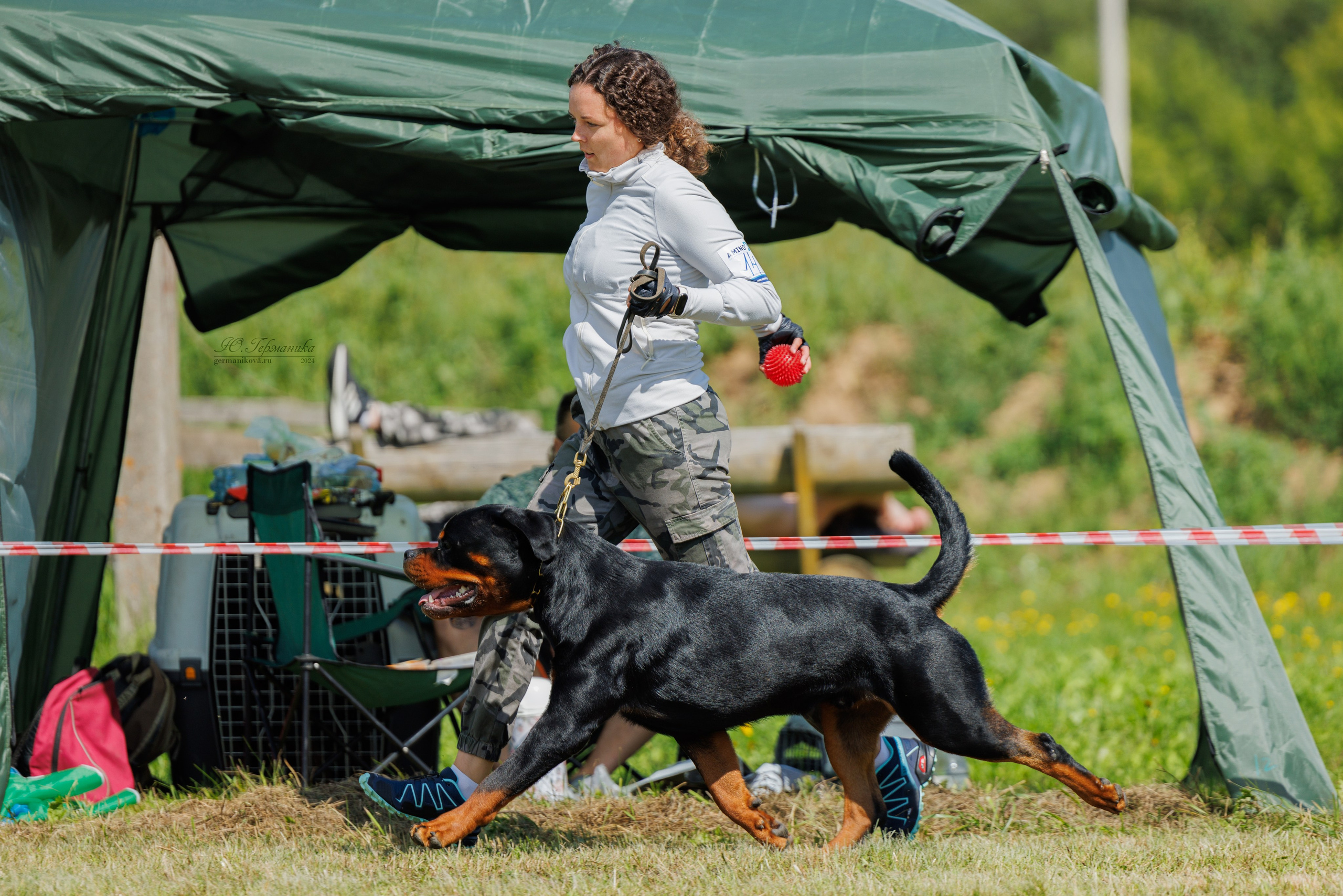Рязань-Ховрино 10-11.08.2024 3хмоно ротвейлеров. Фотограф-анималист Юлия Германика