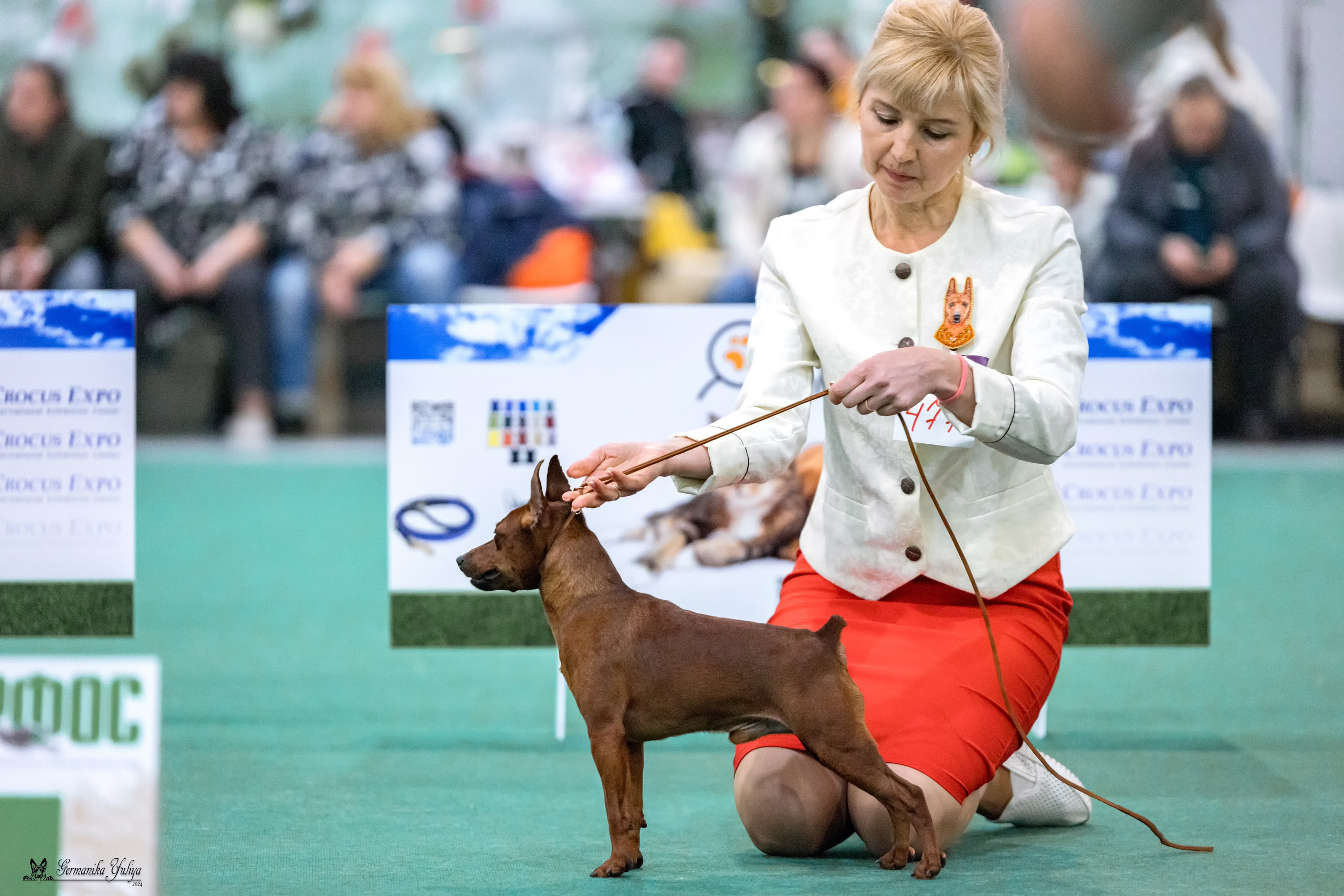 Сабанеевка 26-27.01.2024. Фотограф-анималист Юлия Германика