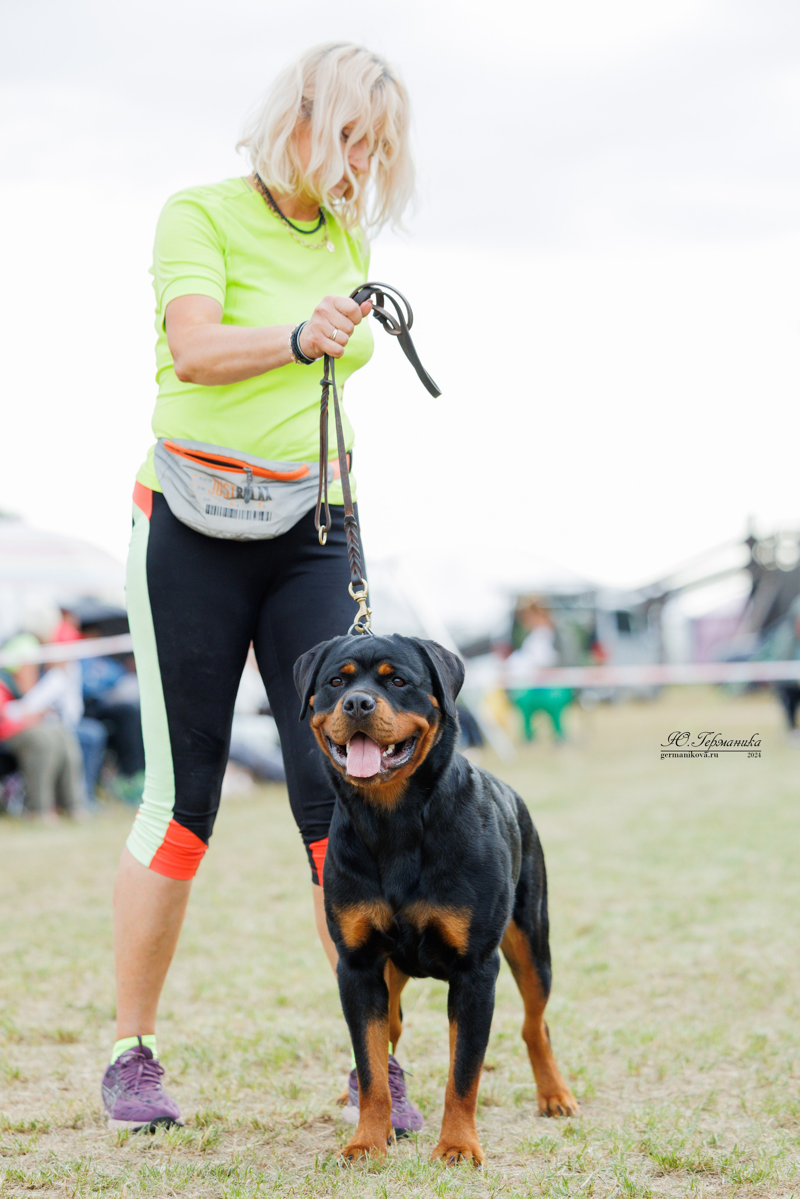 ПК и КЧК ротвейлеры Тверь 6-7.07.2024. Фотограф-анималист Юлия Германика