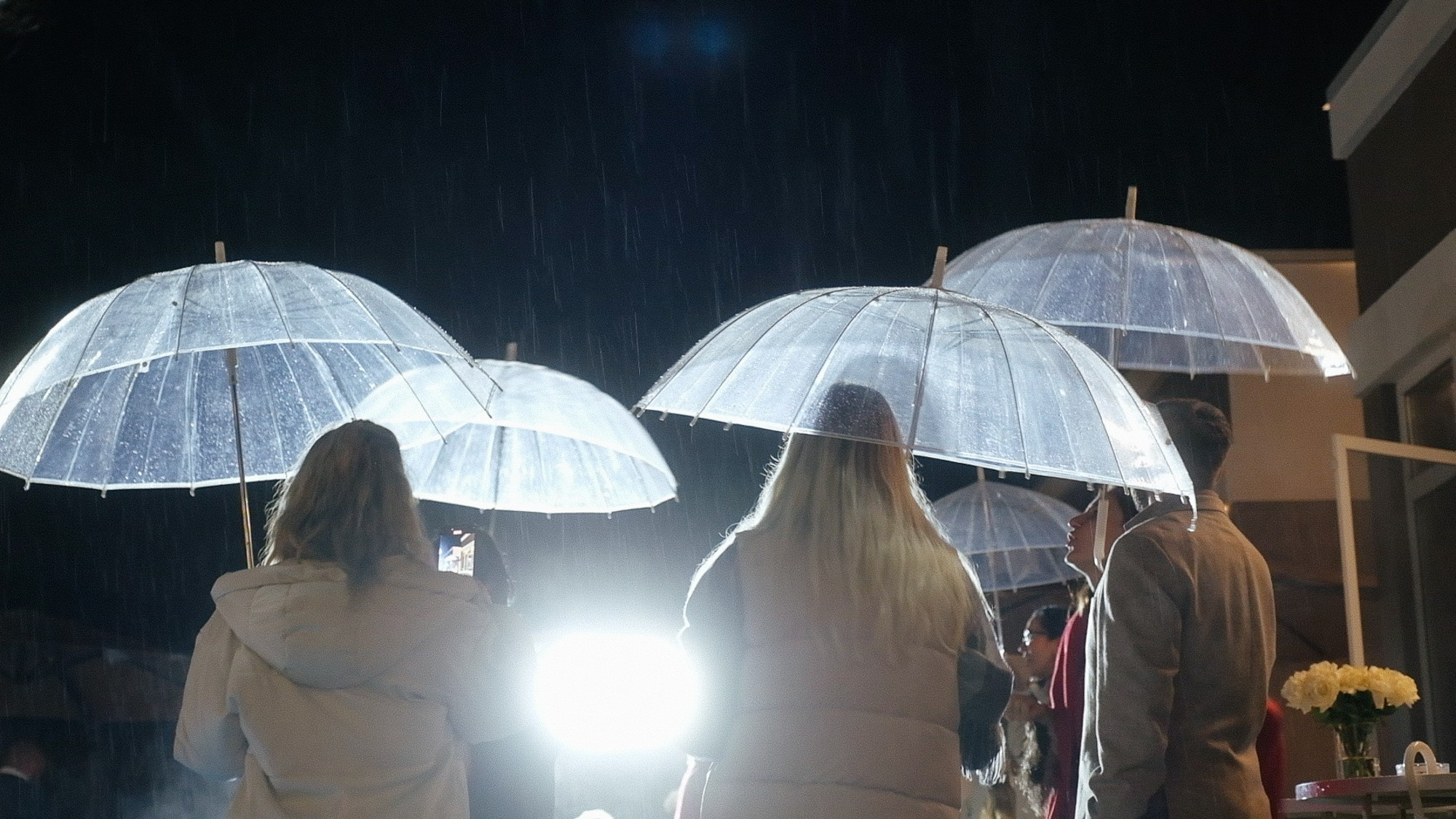 Владимир / Елена. Свадебный Видеограф Фотограф в Сочи