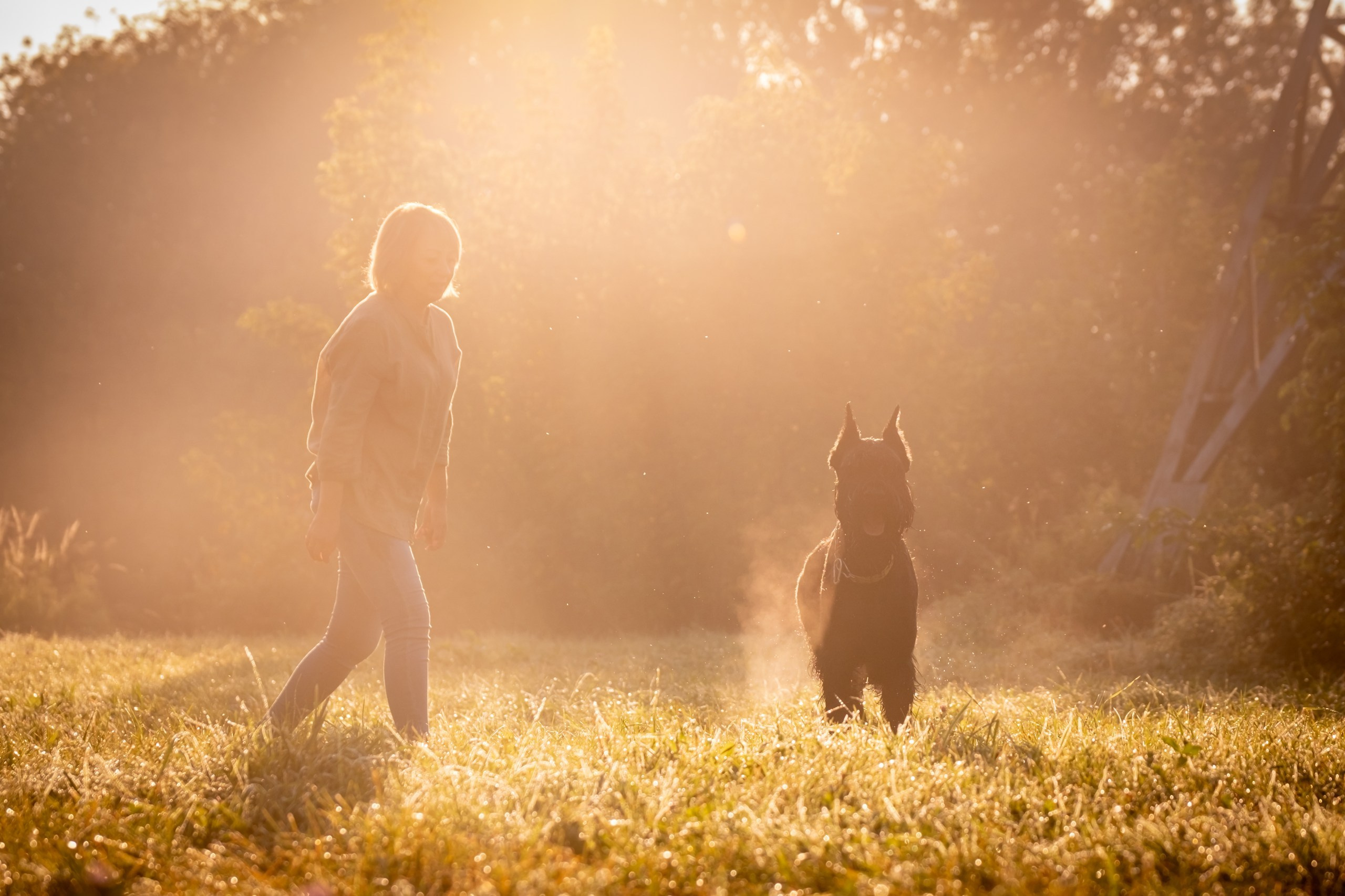 Прекрасная семья Ксении. Зоофотограф, фотограф животных в Москве и области Дина Дамоцева