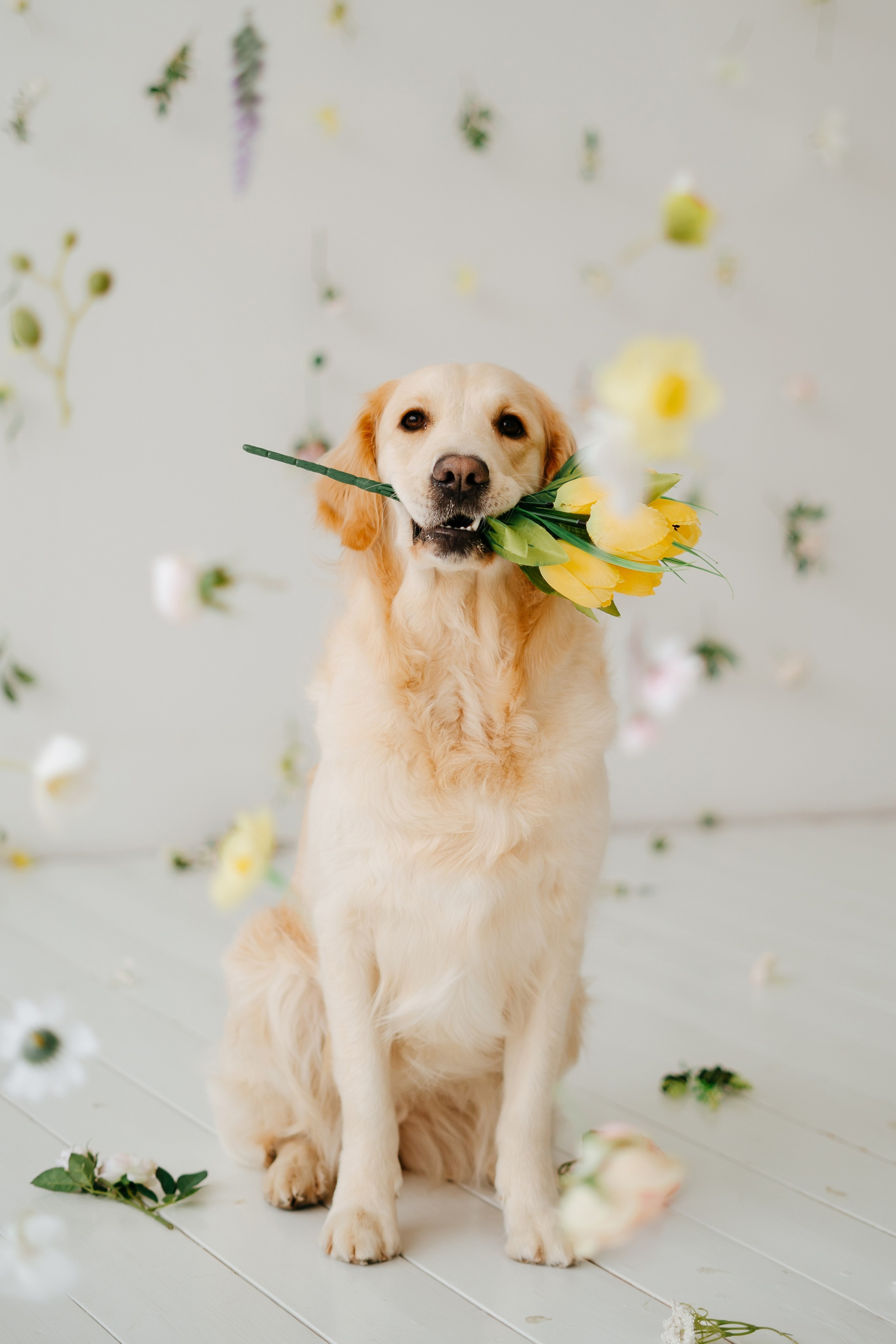 Фотограф Санкт-Петербург и Москва. Съемка портретов, контента, корпоративы, венчание и крещение