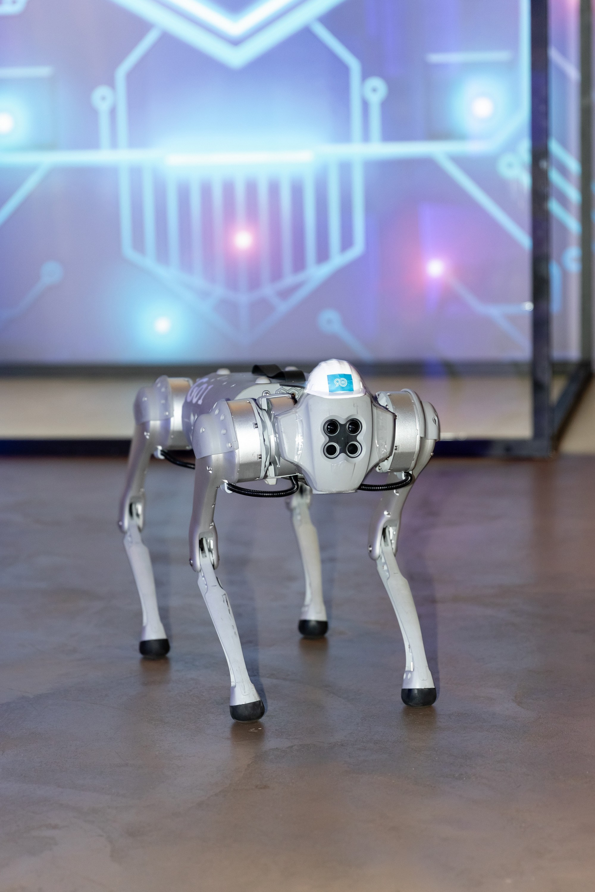 Церемония награждения Норникель 90. Татьяна Чернышова свадебный фотограф Москва