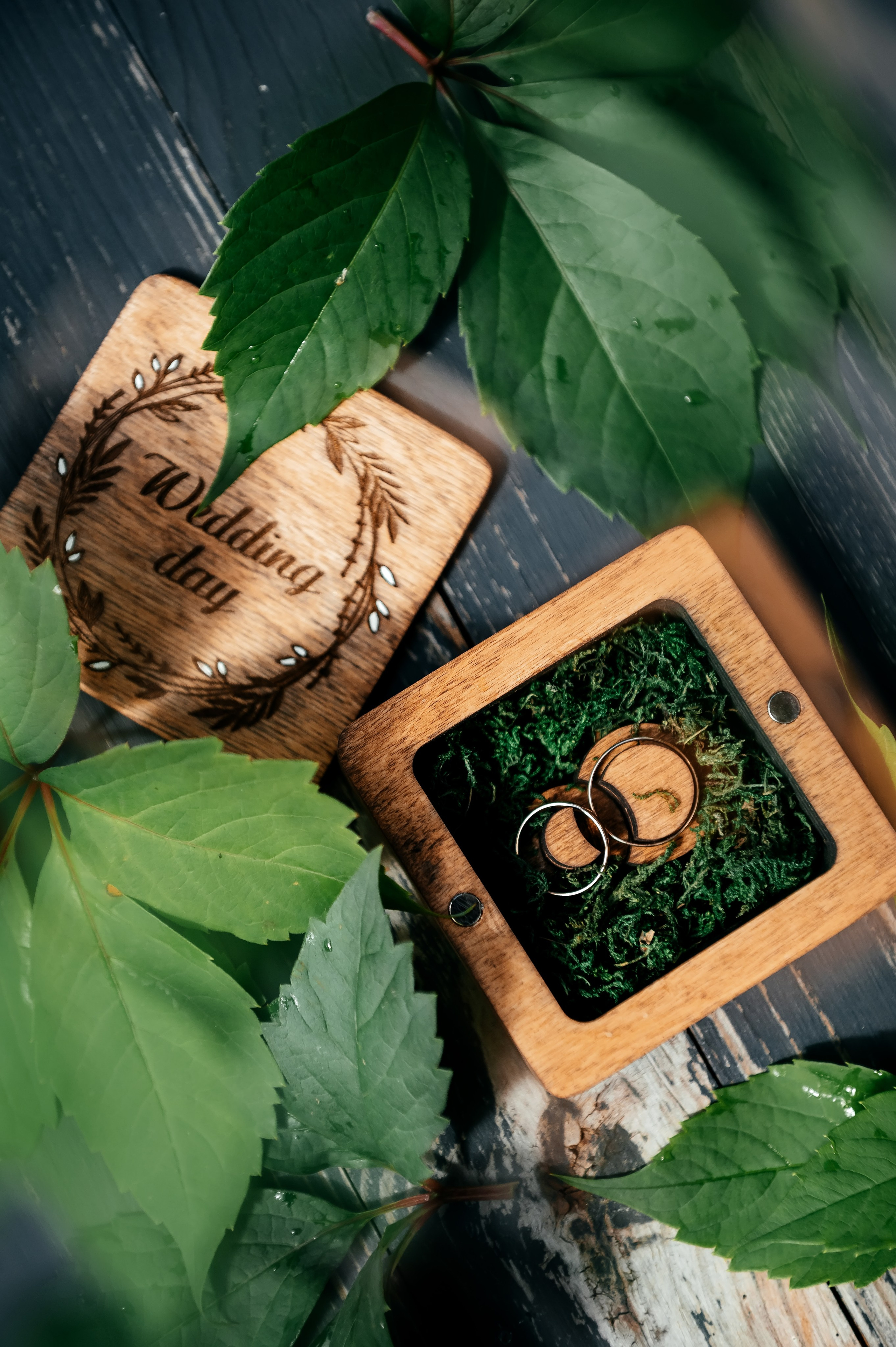 Медвежьи озера и любовь. Свадебная фотоистория. Свадебный и семейный фотограф Виктория Носачёва. Щелково, Москва и МО