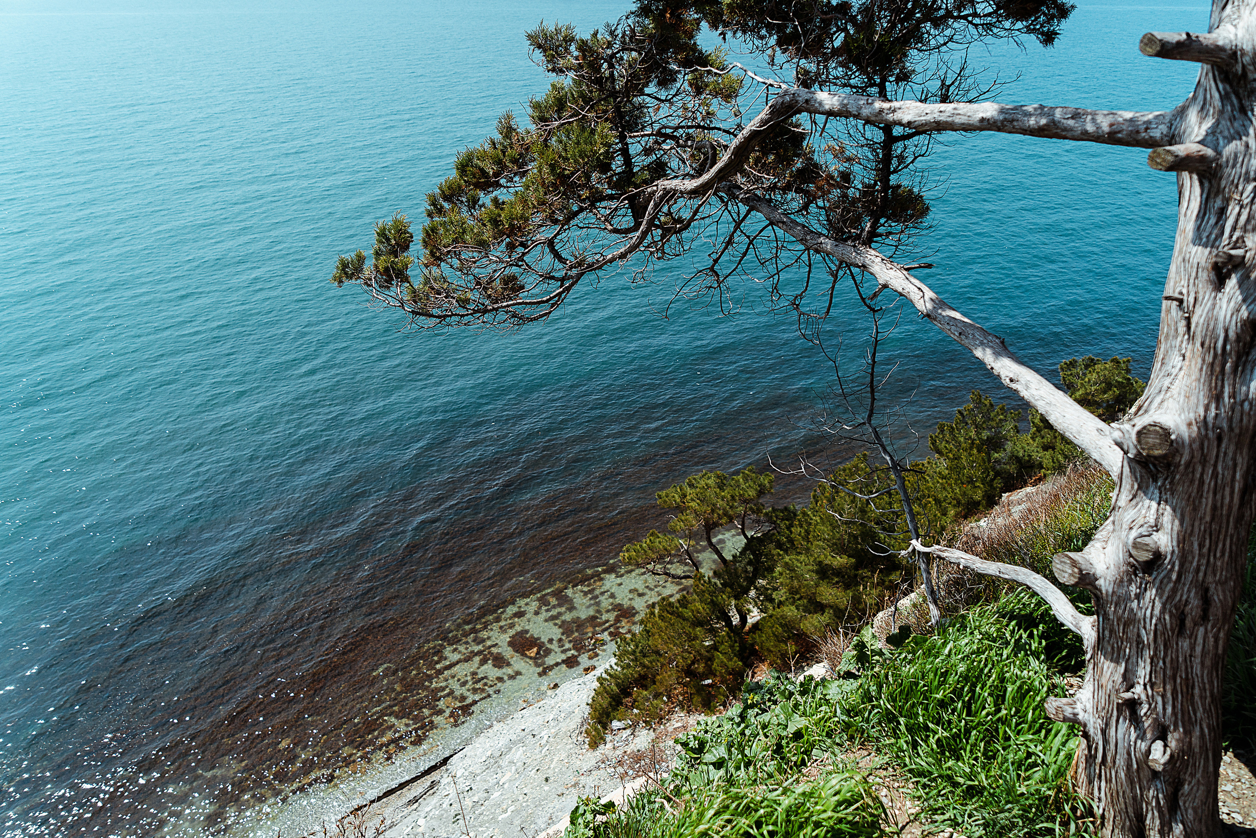 Море. Свадебный и семейный фотограф/видеограф в Краснодаре Наталья Осинская