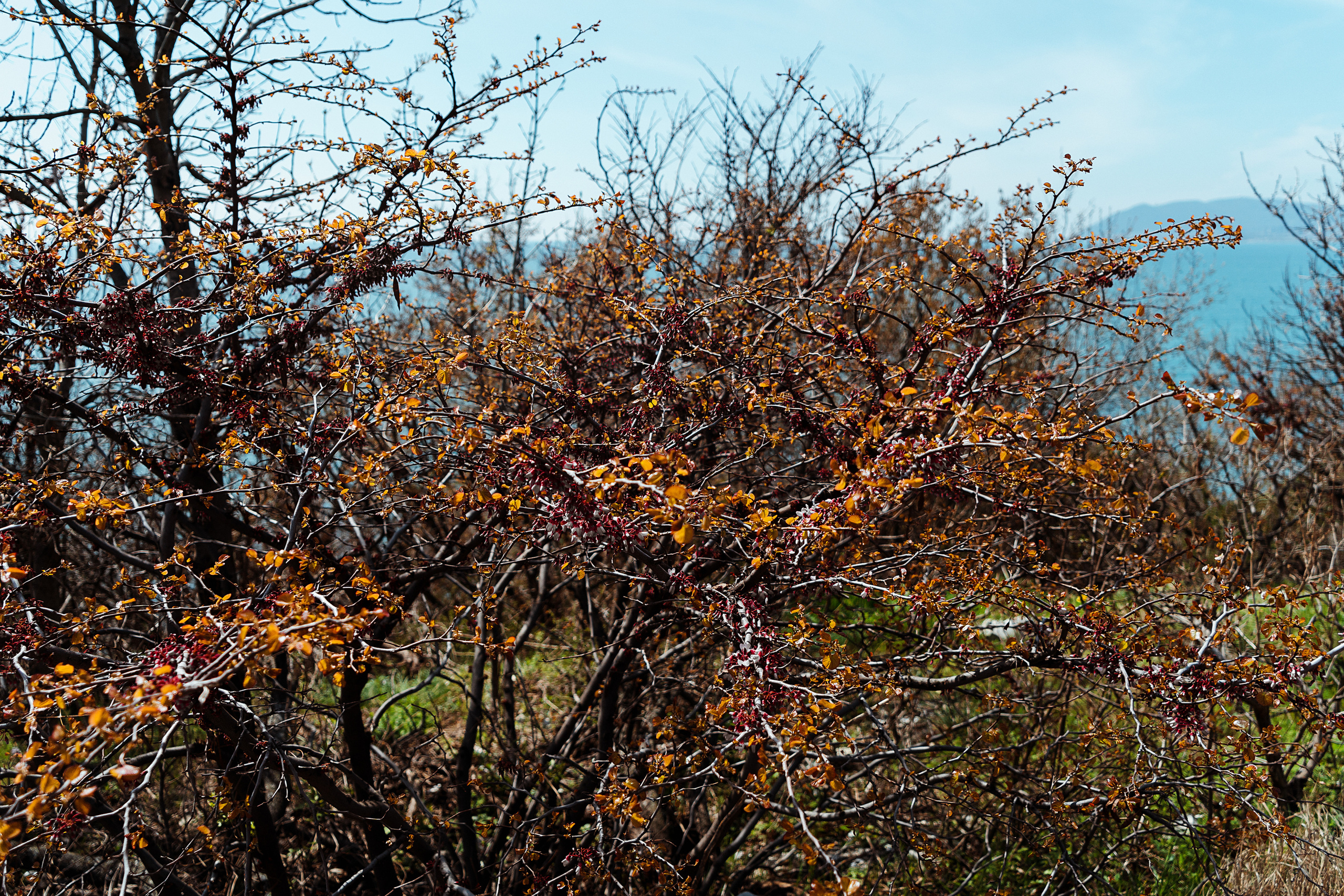 Море. Свадебный и семейный фотограф/видеограф в Краснодаре Наталья Осинская