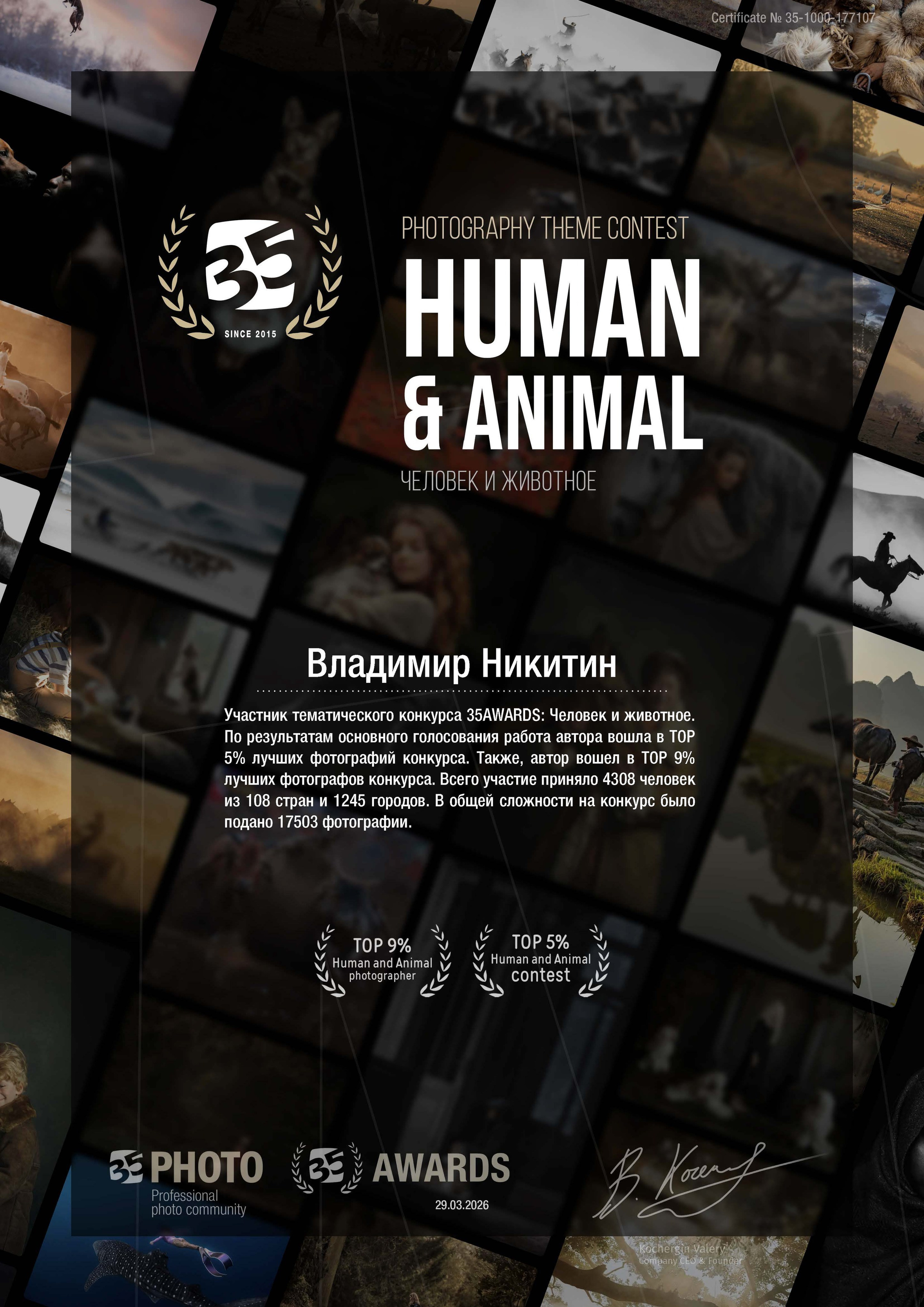Награды. Семейный, детский и будуарный фотограф в Москве Владимир Никитин