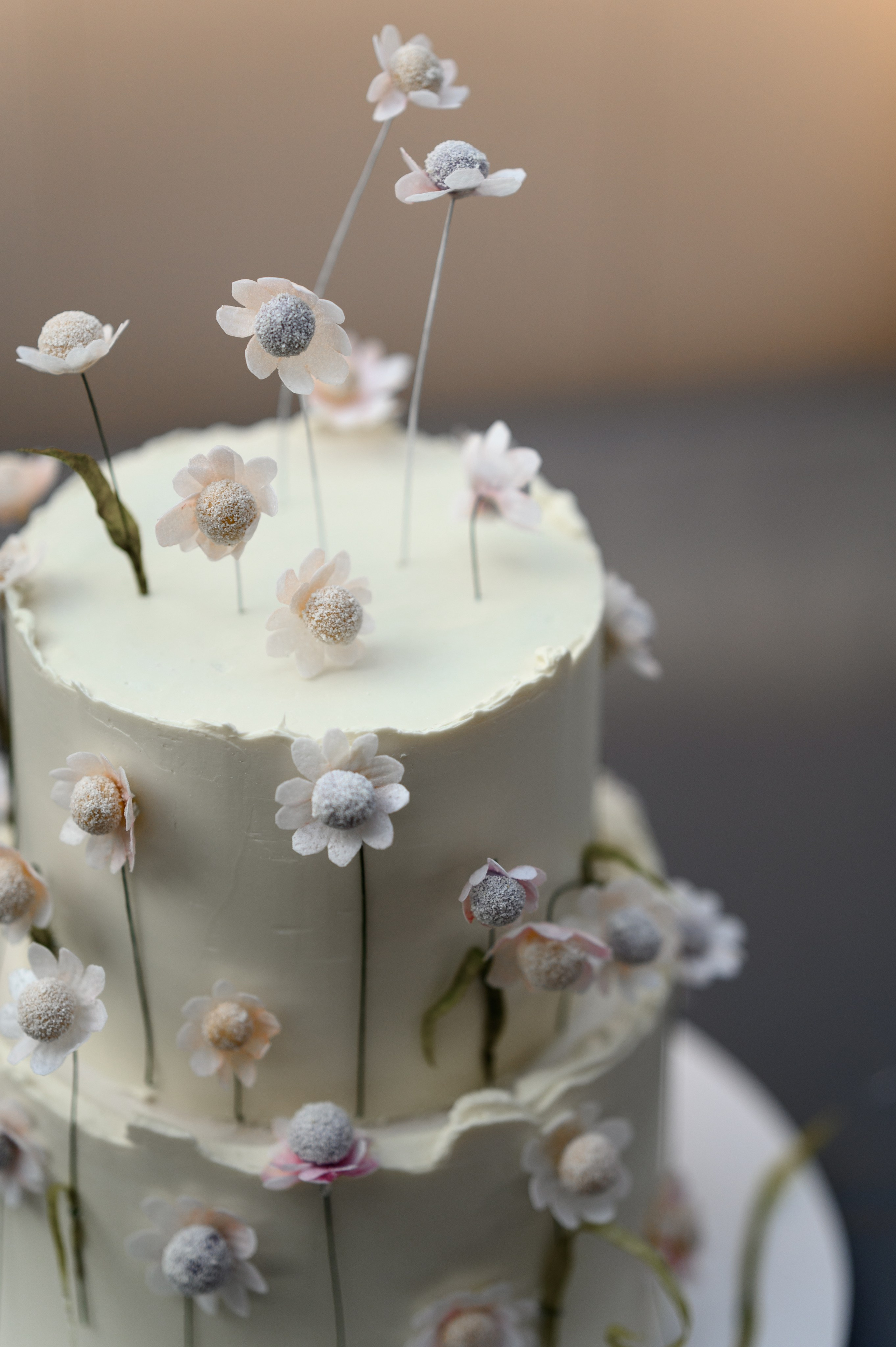 Д + В. Свадебный и портретный фотограф в Санкт-Петербурге Ирина Келина