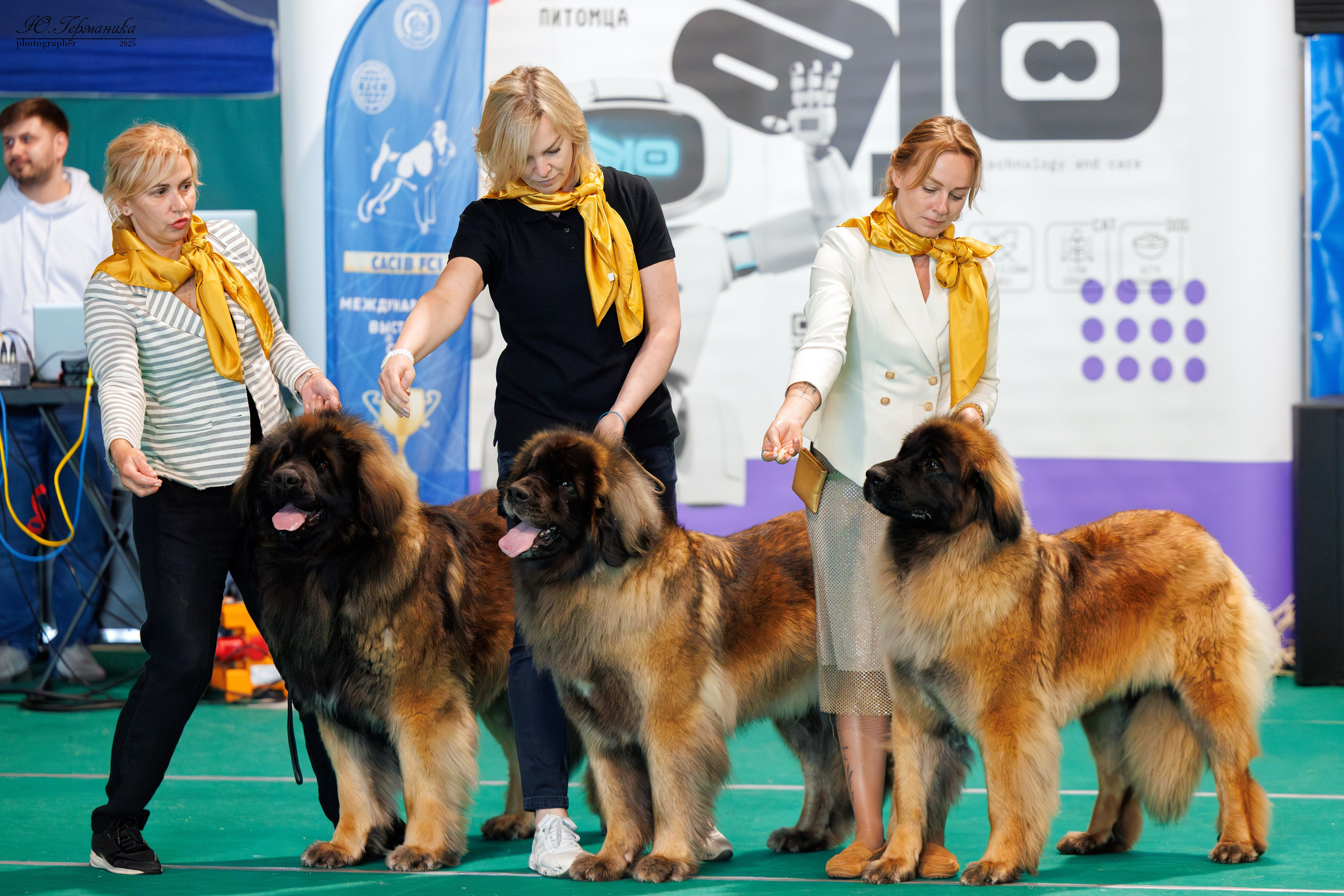 Минск 31.05-1.06.2025. Фотограф-анималист Юлия Германика