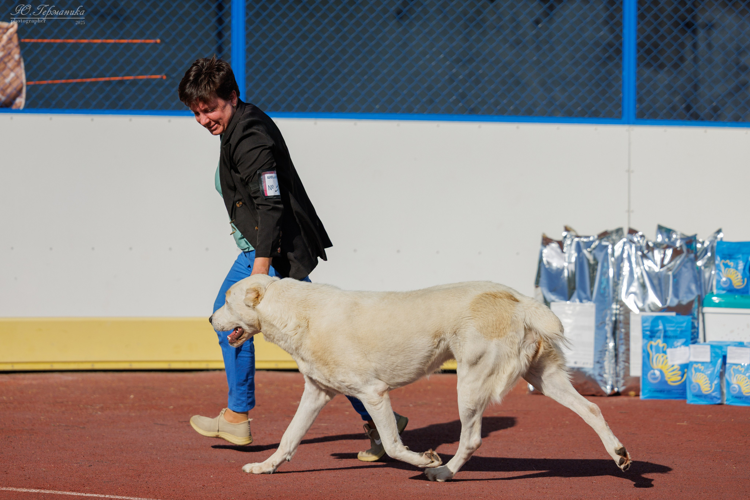 Коломна 30.08.2025. Фотограф-анималист Юлия Германика