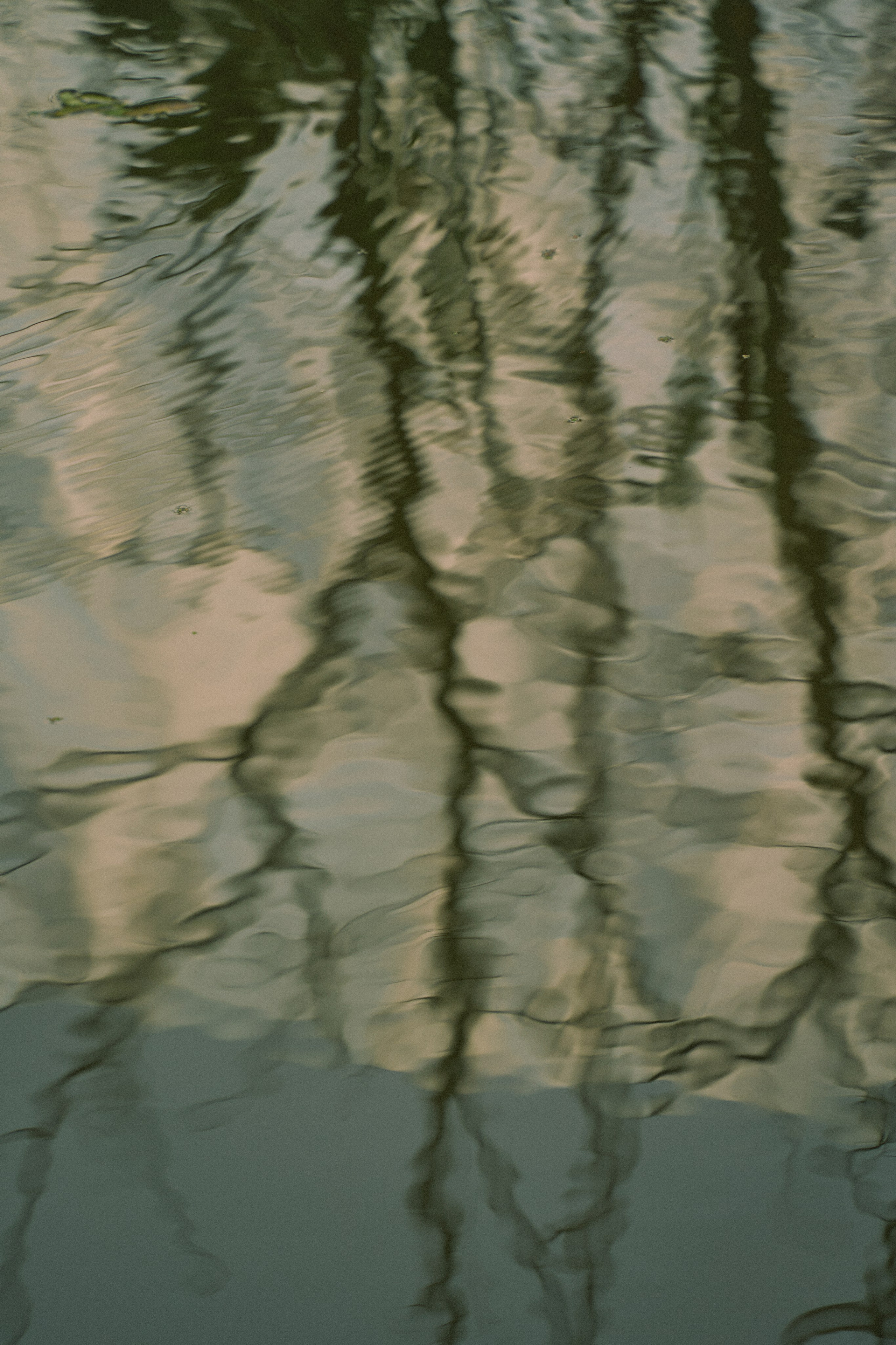 Water song. Юля Ф