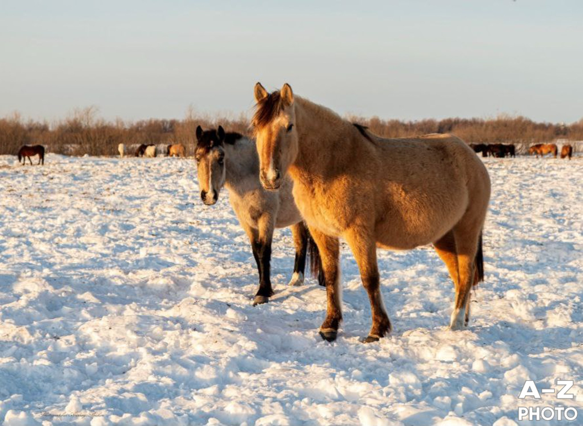 #ФОТОНЕДЕЛИ 05.01.2026. Женский семейный фотограф Тула Москва Захарова Анна