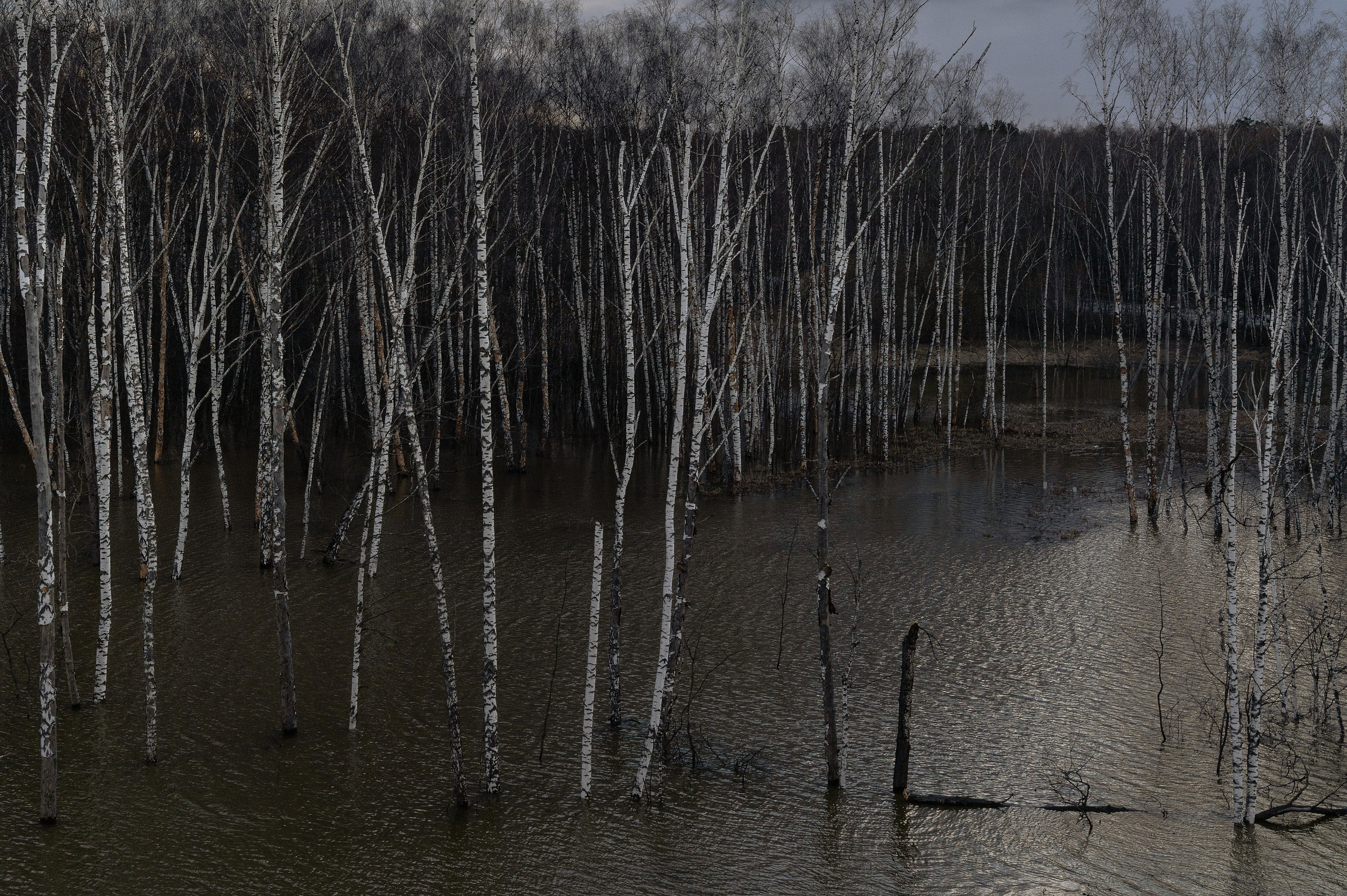 20×30 см, цифровая фотопечать на бумаге Pearl. 7+1AP 