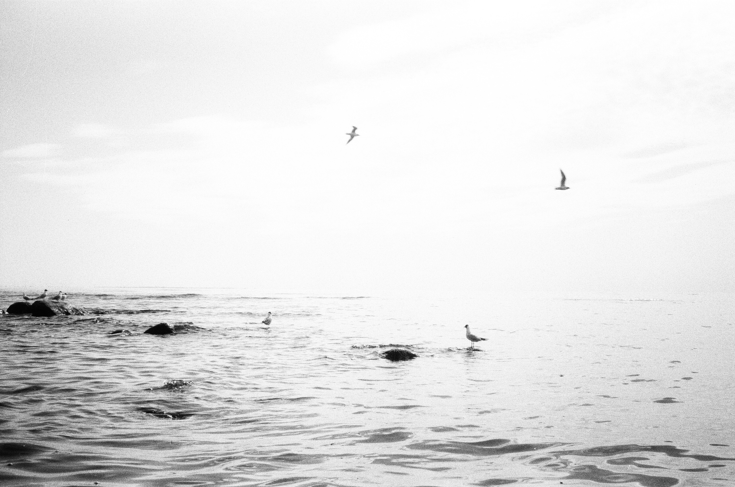 Photo. Оператор-постановщик рекламы и музыкальных клипов