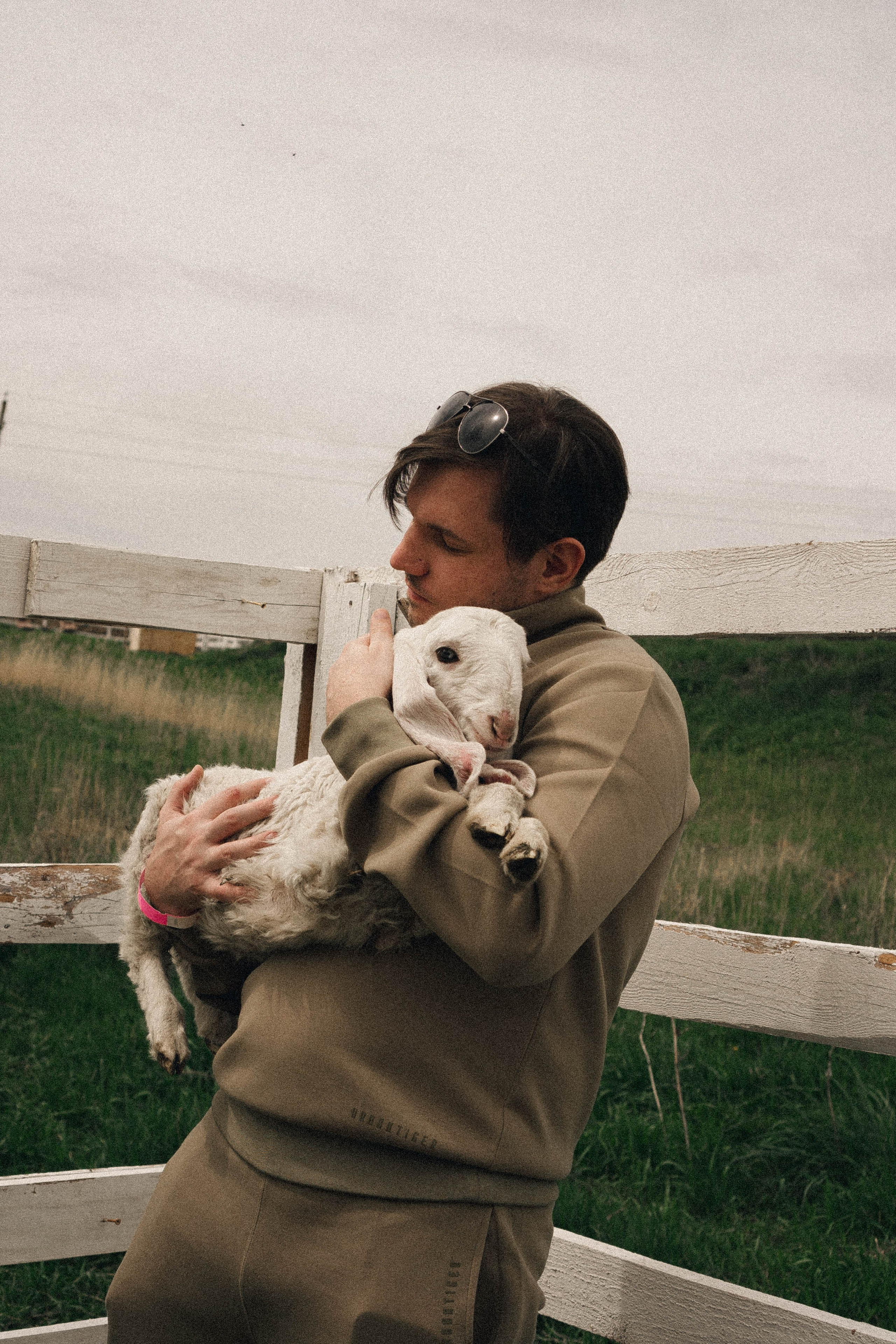 Ферма Альпак. Профессиональный фотограф, Санкт-Петербург — Виктория Богомолова