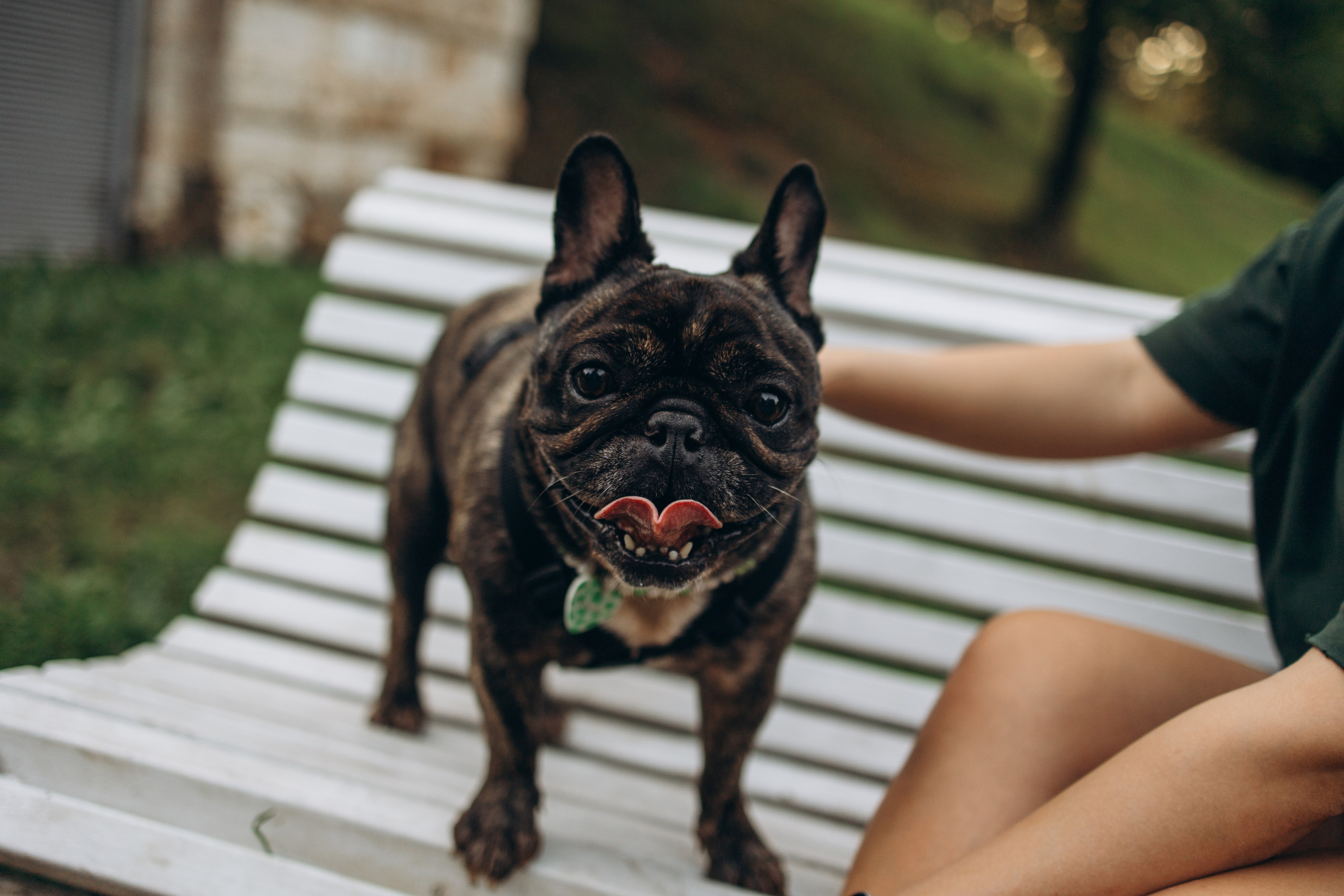 Олеся и Луи. Фотограф — Анималист | Санкт-Петербург