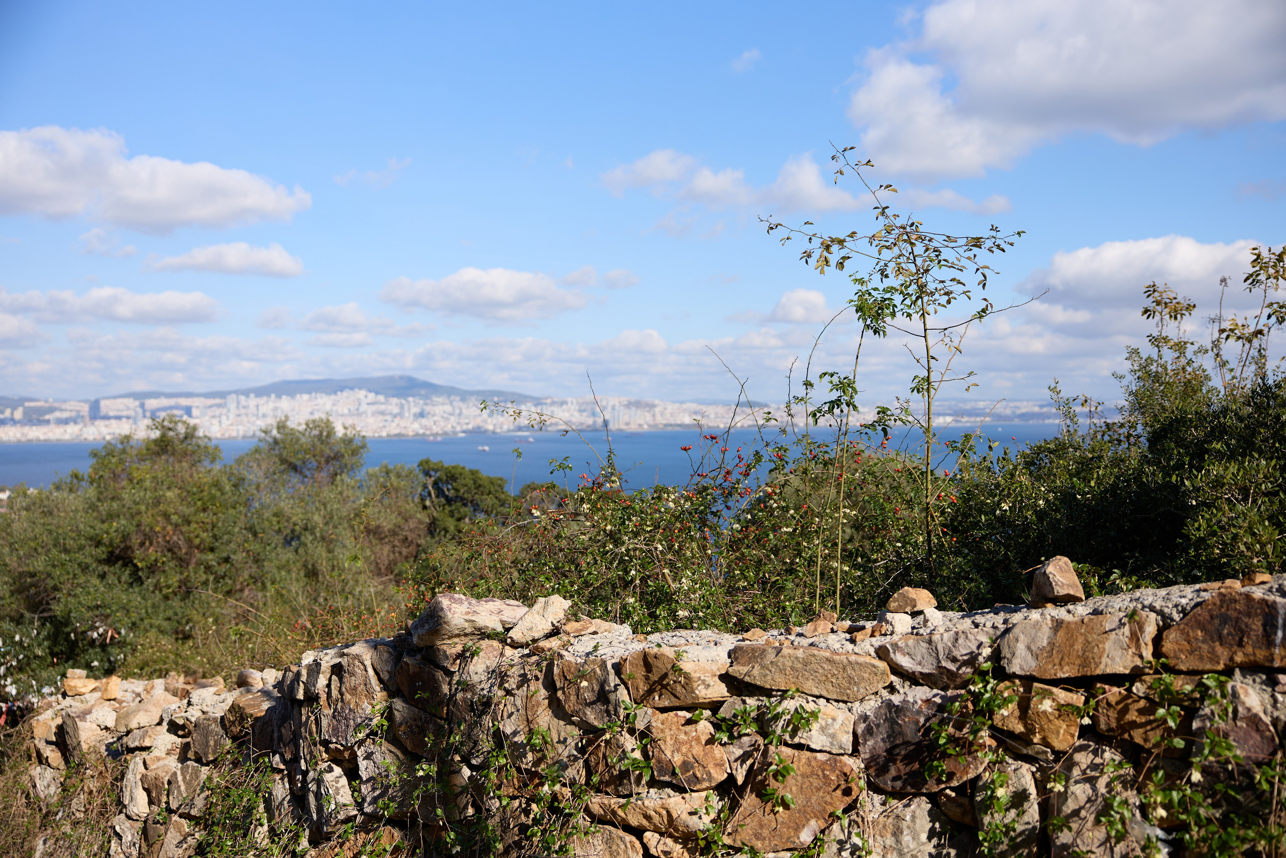 Стамбул 24. Фотограф Москва, Дима Пеллер