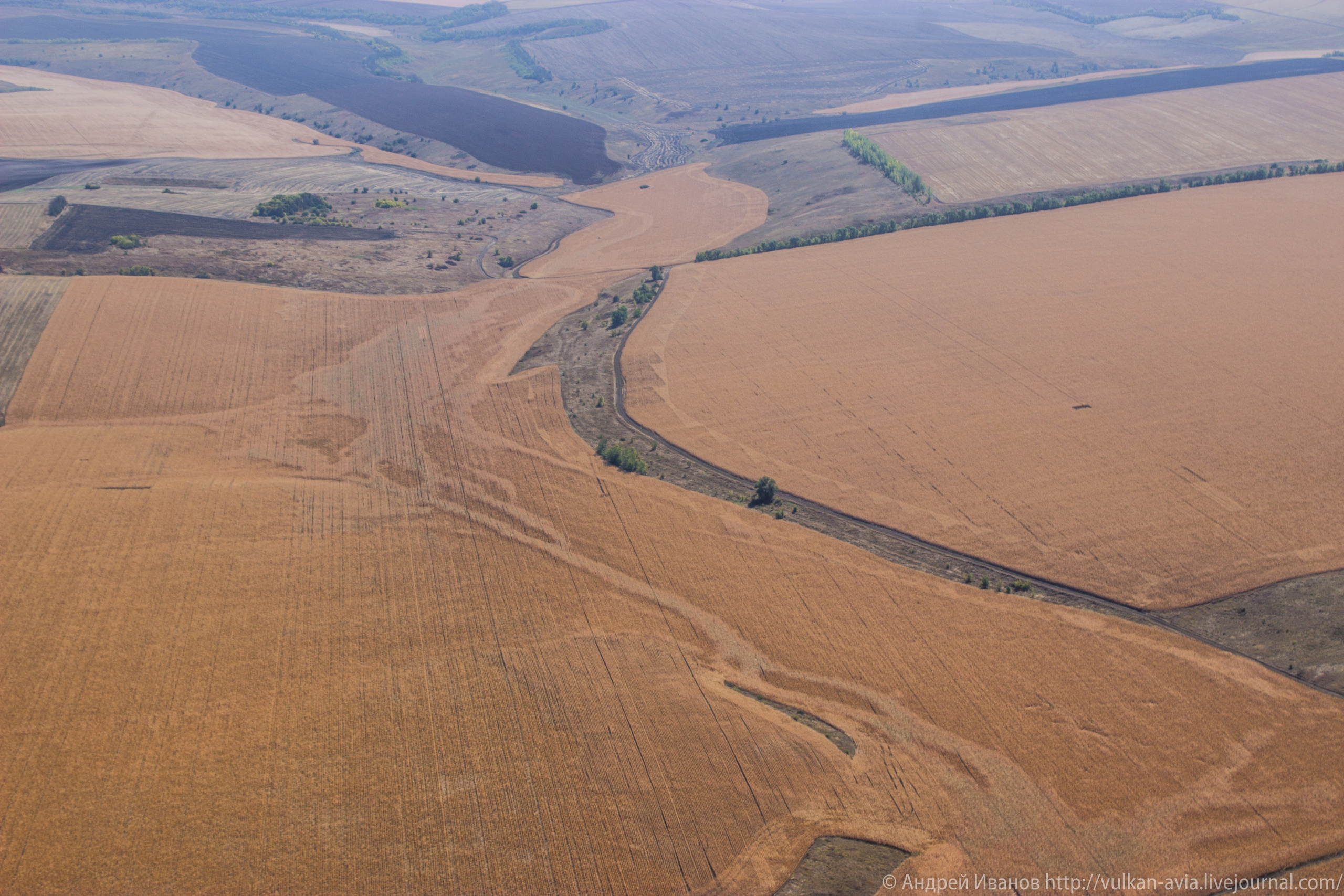 Волгодонск аэр. Потапов слёт «Небо для всех» (2021 г.). Фотоальбом показывающий увлекательный мир авиации и мир медведей Андрея Иванова