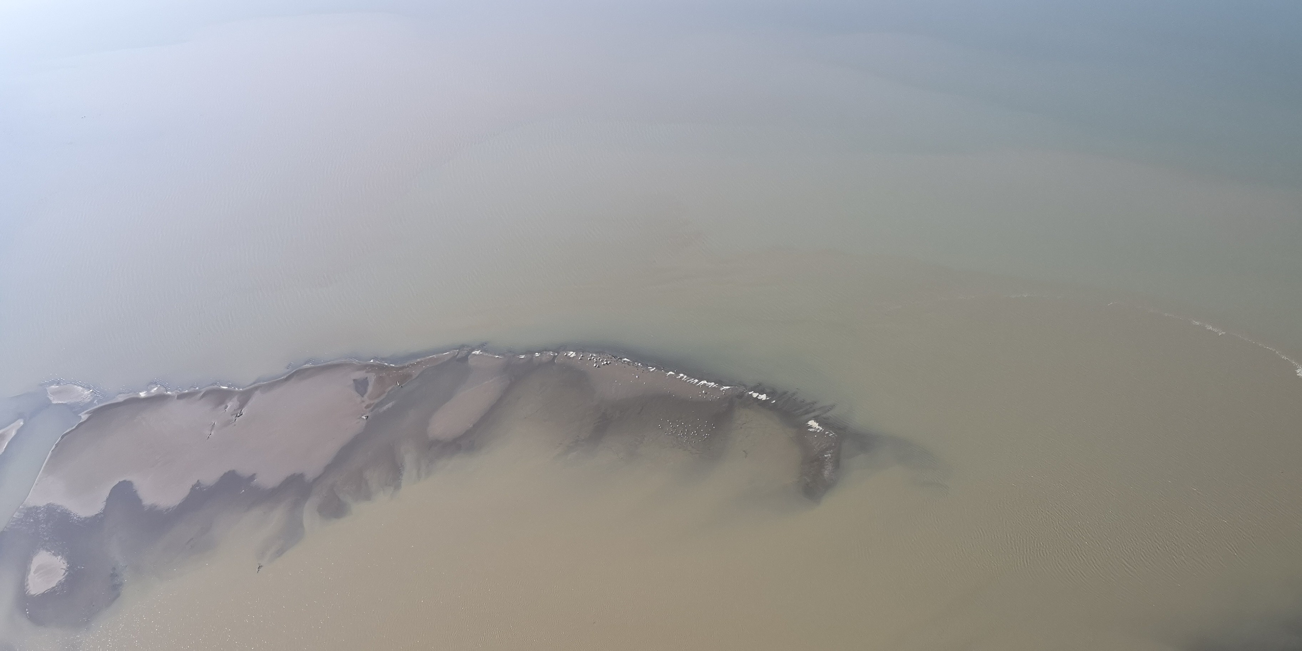 Каспийское море (наука на Ла-8) (2021 г.). Фотоальбом показывающий увлекательный мир авиации и мир медведей Андрея Иванова