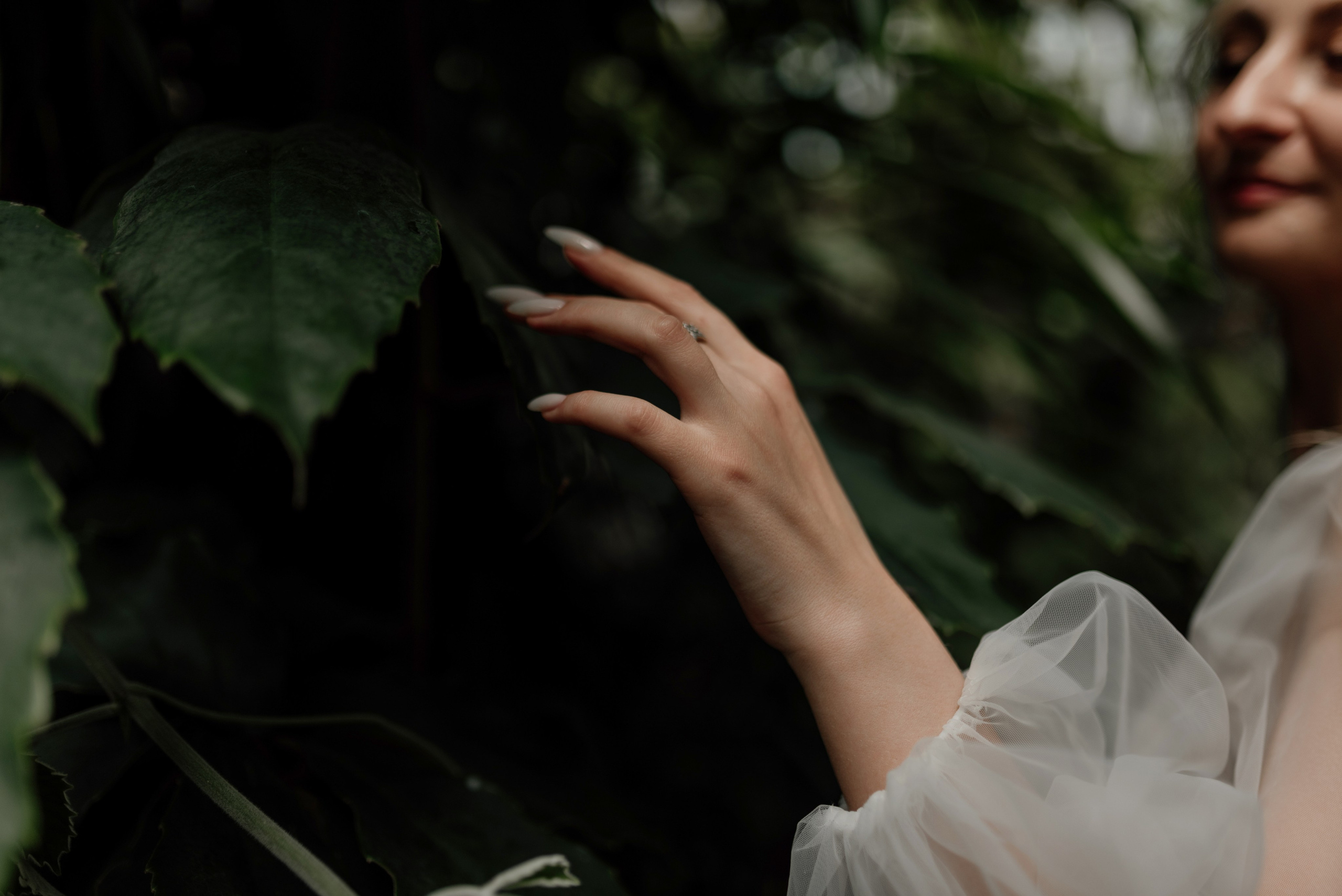 V&N. Свадебный и Семейный фотограф в Ярославле Алёна Колясникова