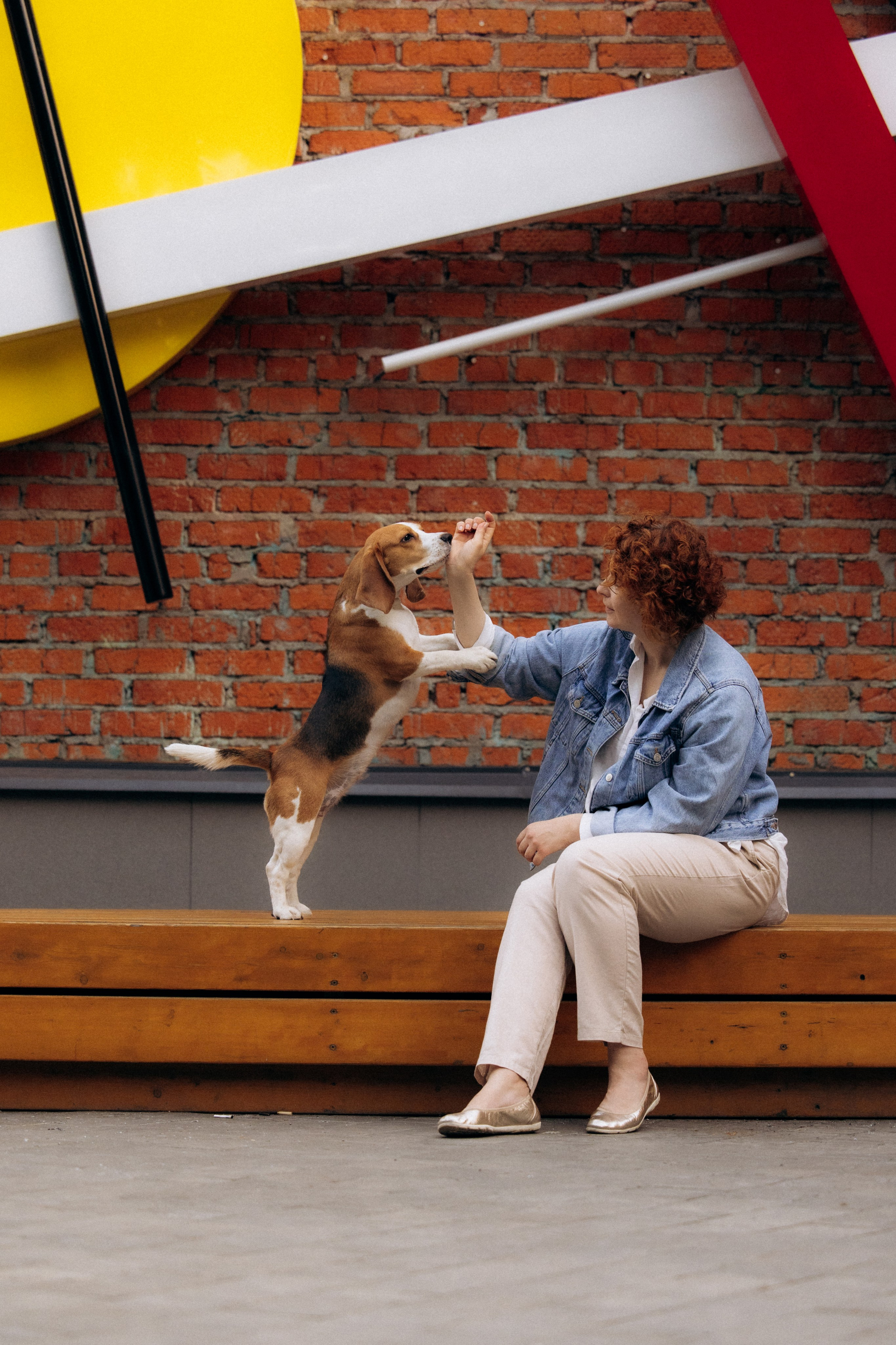 Анна и Рэна. Рассвет в Москве. Фотограф анималист в Казани Алина Сулейманова. Фотограф животных