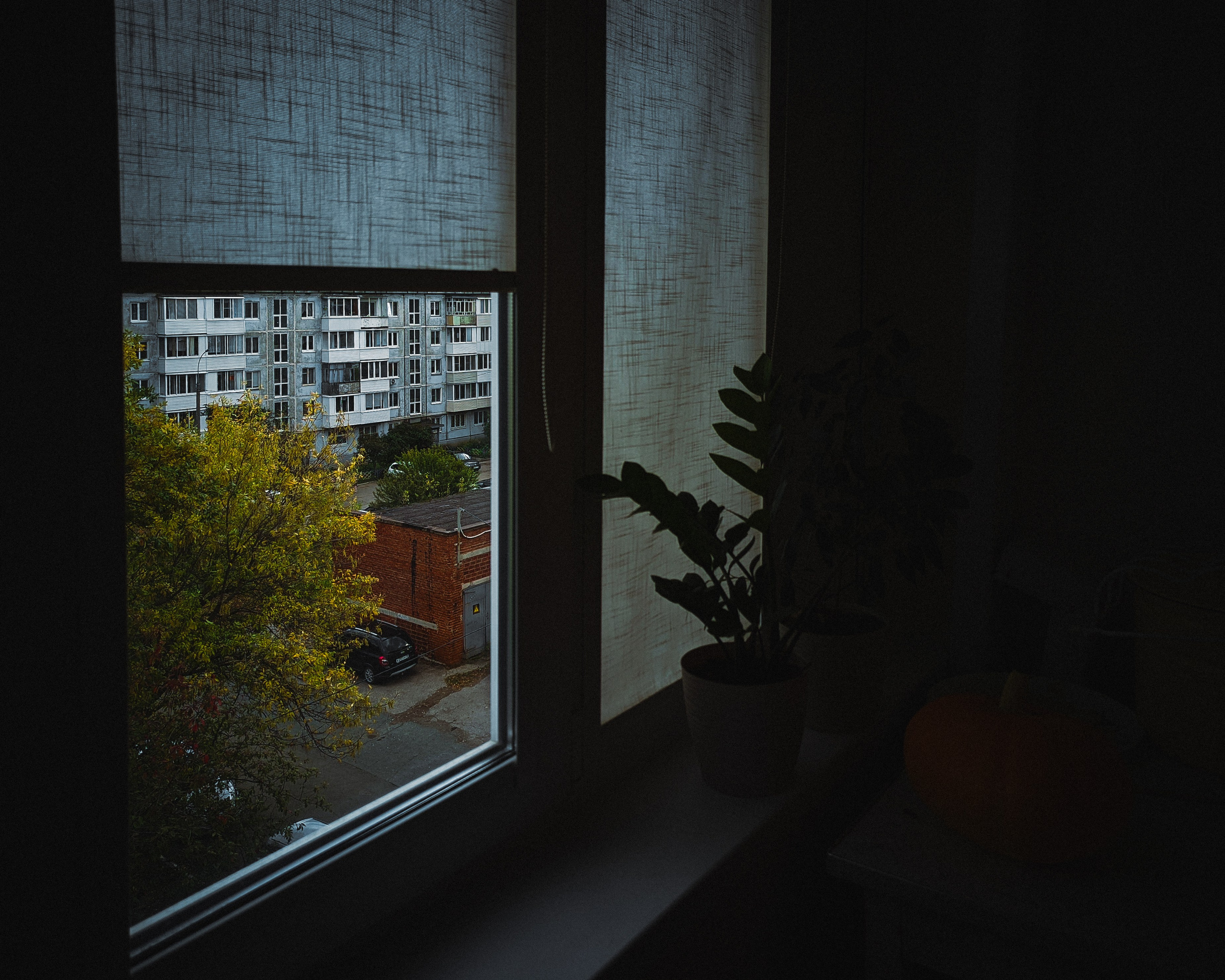 Эстетика ебеней. Олег Романов. Мастер фото по спорту