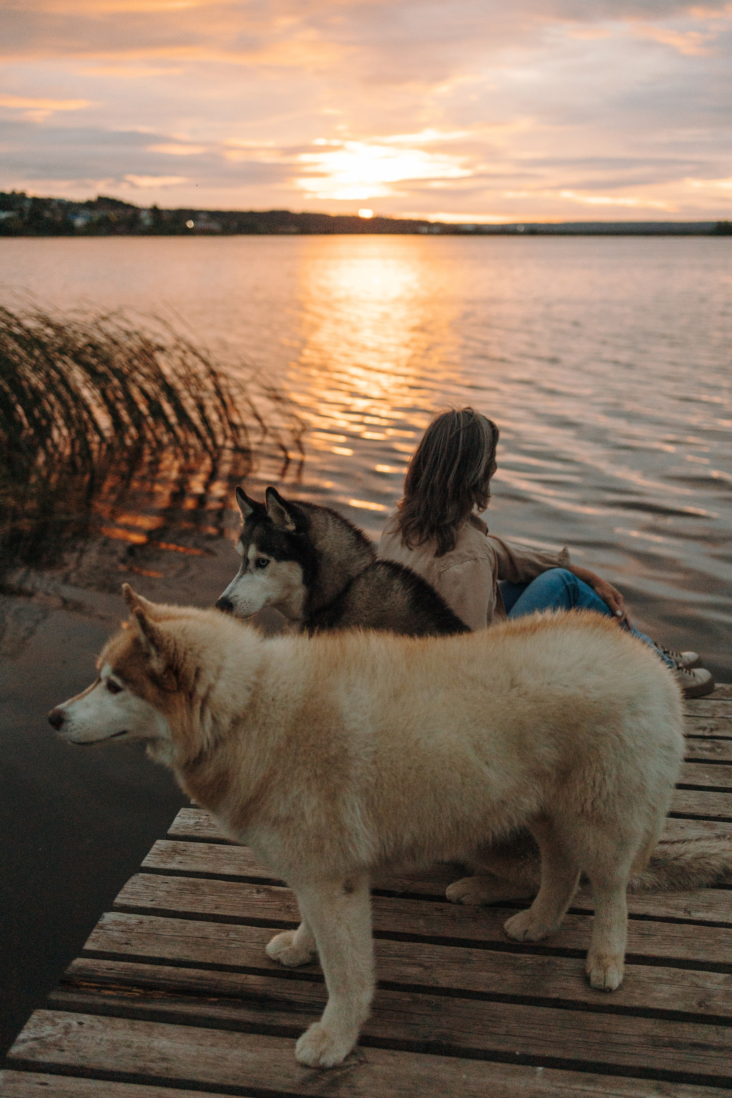 Дом у реки. Фотограф — Анималист | Санкт-Петербург