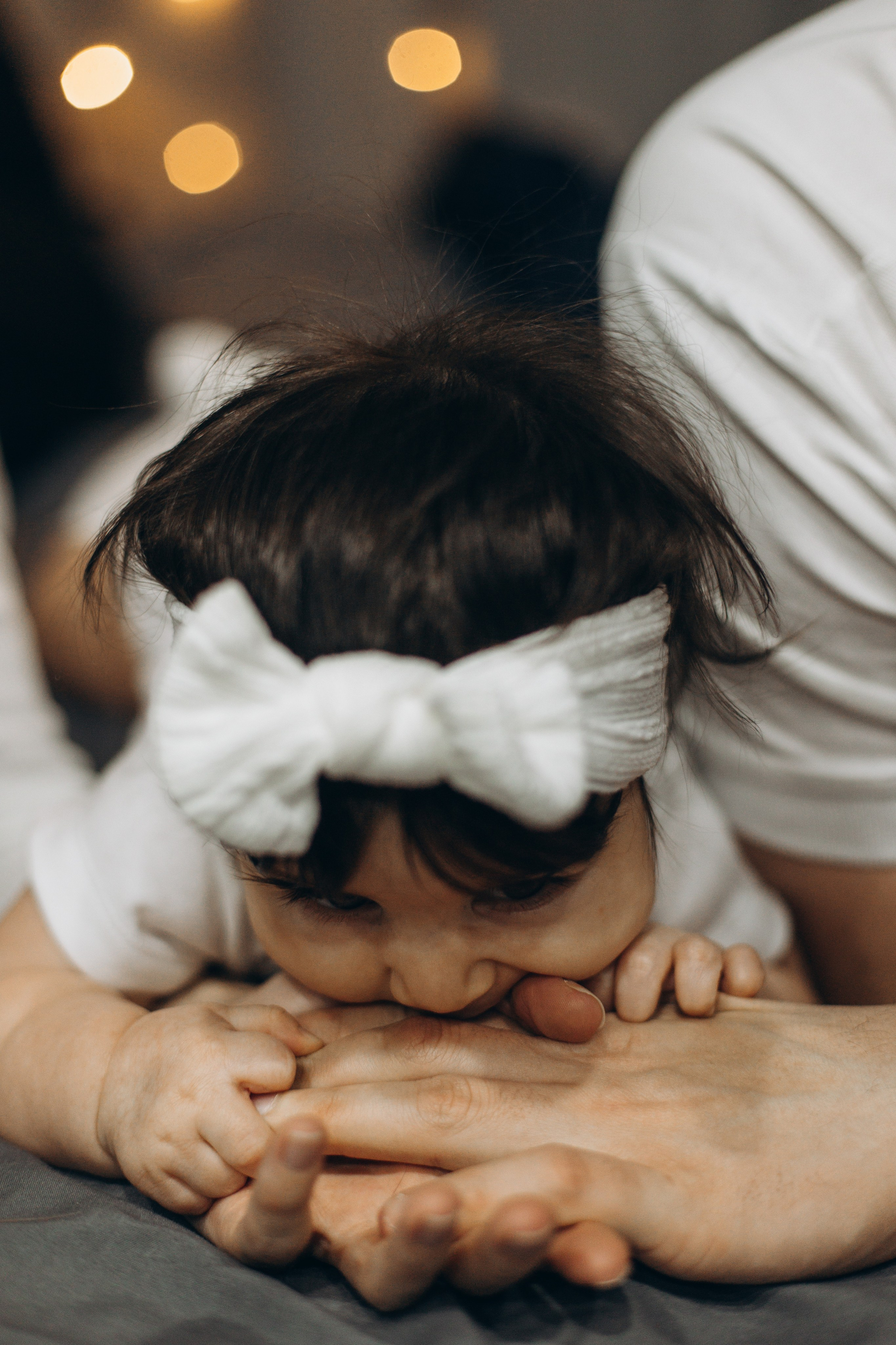 Джой и его семья. Фотограф — Анималист | Санкт-Петербург