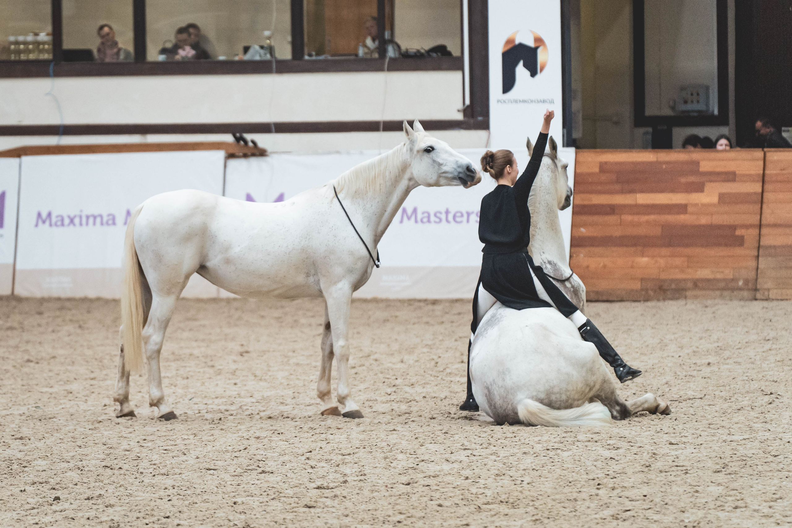Мария Краснова, Жемчужина и Жамбика. Фотограф в Москве Ленарская Дарья