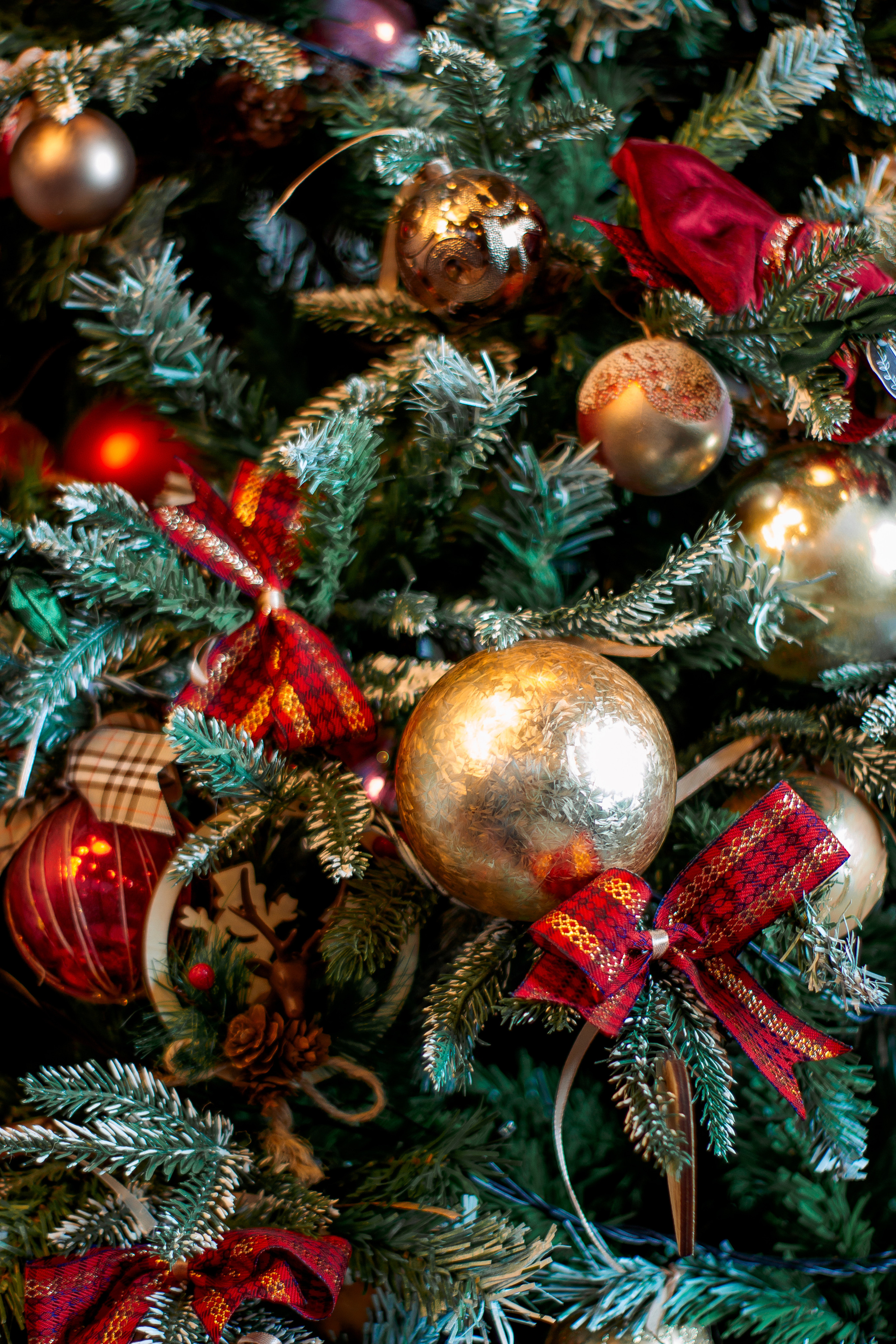 Новогодняя фотосессия для Ксении. Фотограф в Санкт-Петербурге, Анна Скворцова