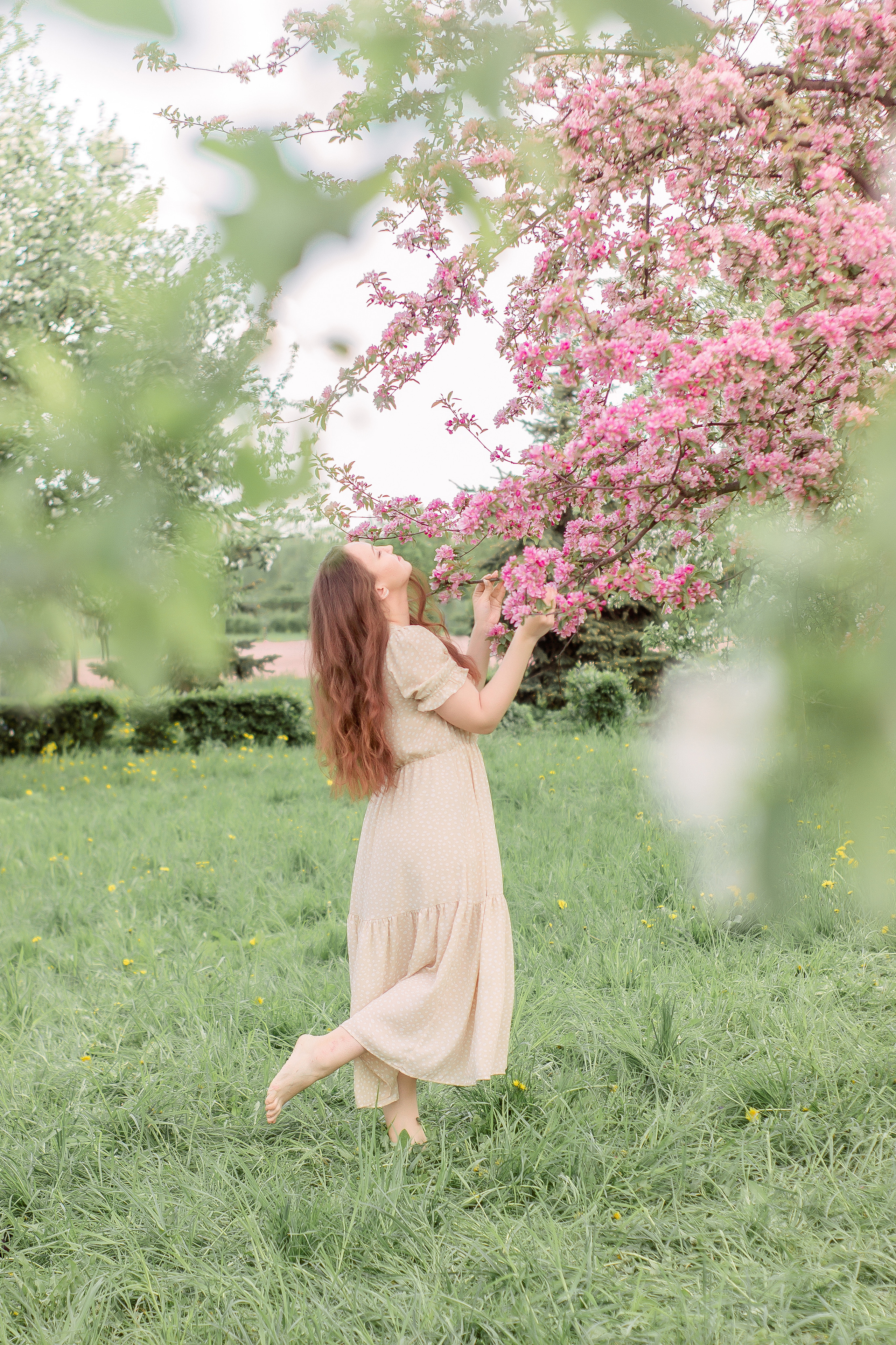 Фотосессия в яблоневом саду спб. Фотограф в Санкт-Петербурге, Анна Скворцова