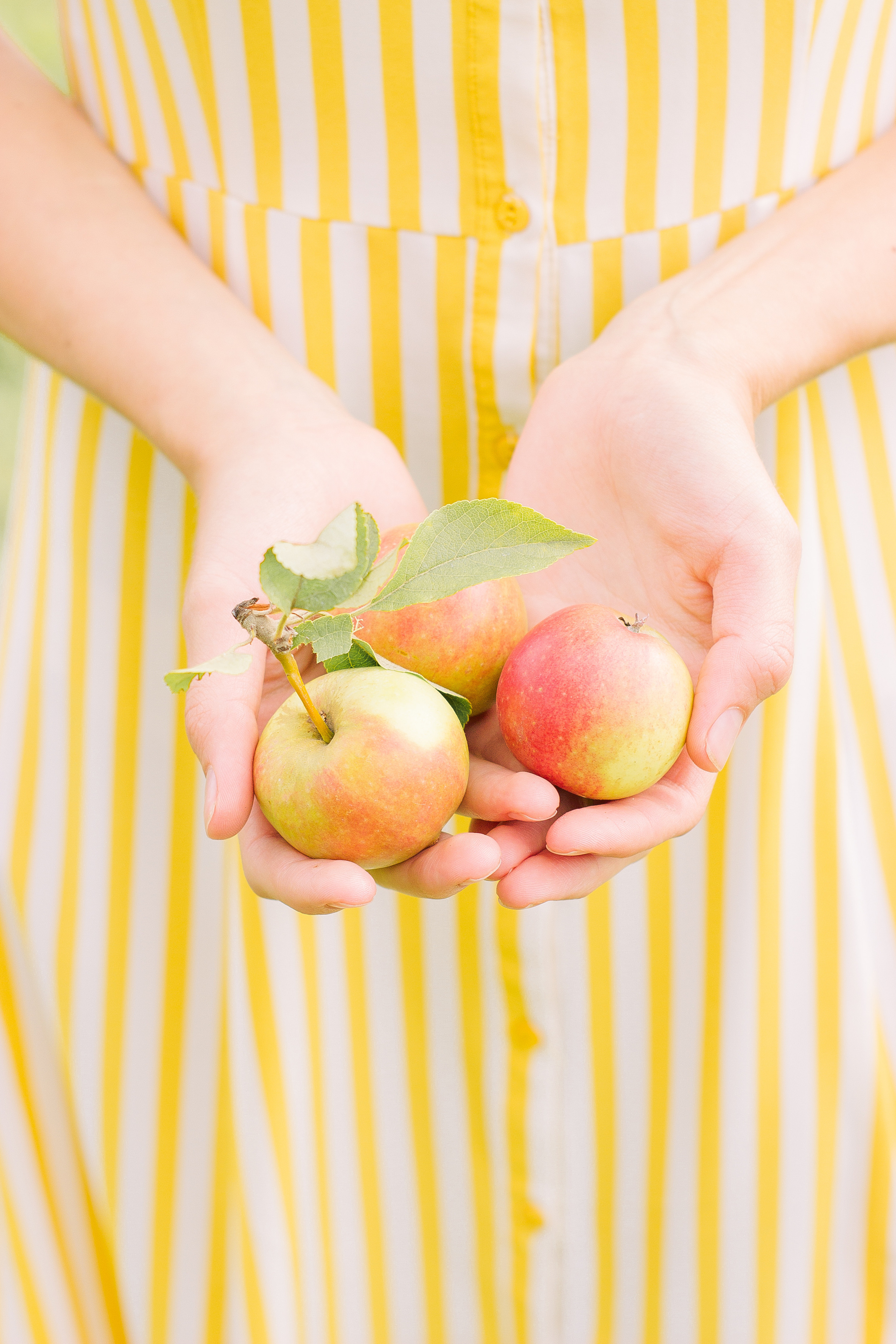 Летняя фотосессия в парке. Фотограф в Санкт-Петербурге, Анна Скворцова
