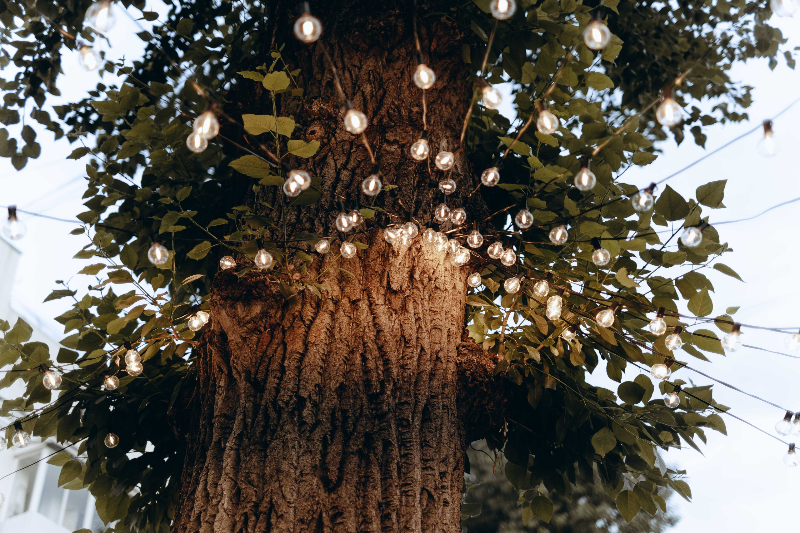 Корпоратив SUGA. Фотограф Аннё| Москва