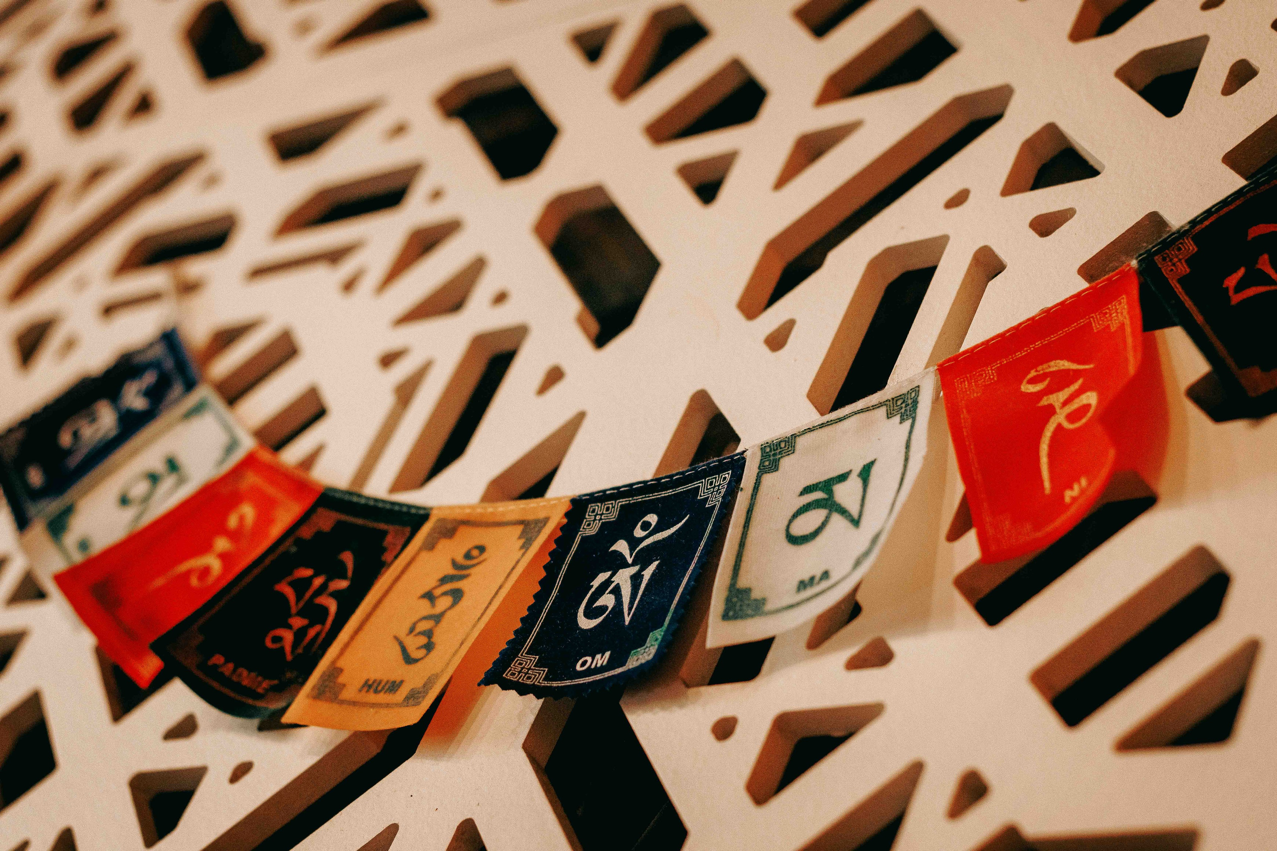 Практики на гвоздях. Вторая международная конференция|19.10.2024. Фотограф Аннё| Москва