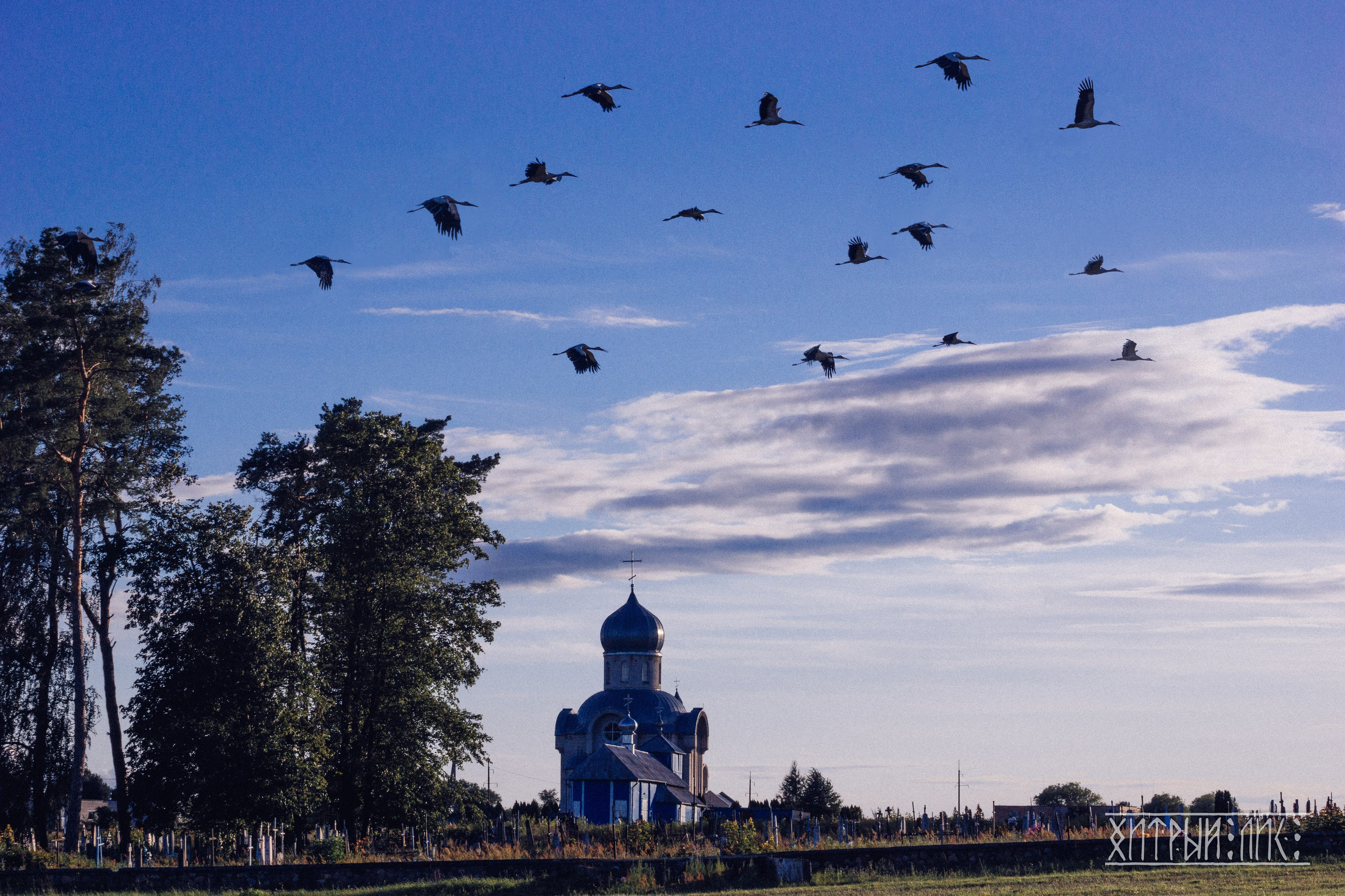 Беларусь. Фотограф-путешественник Самойлов Максим «Sly Fox»
