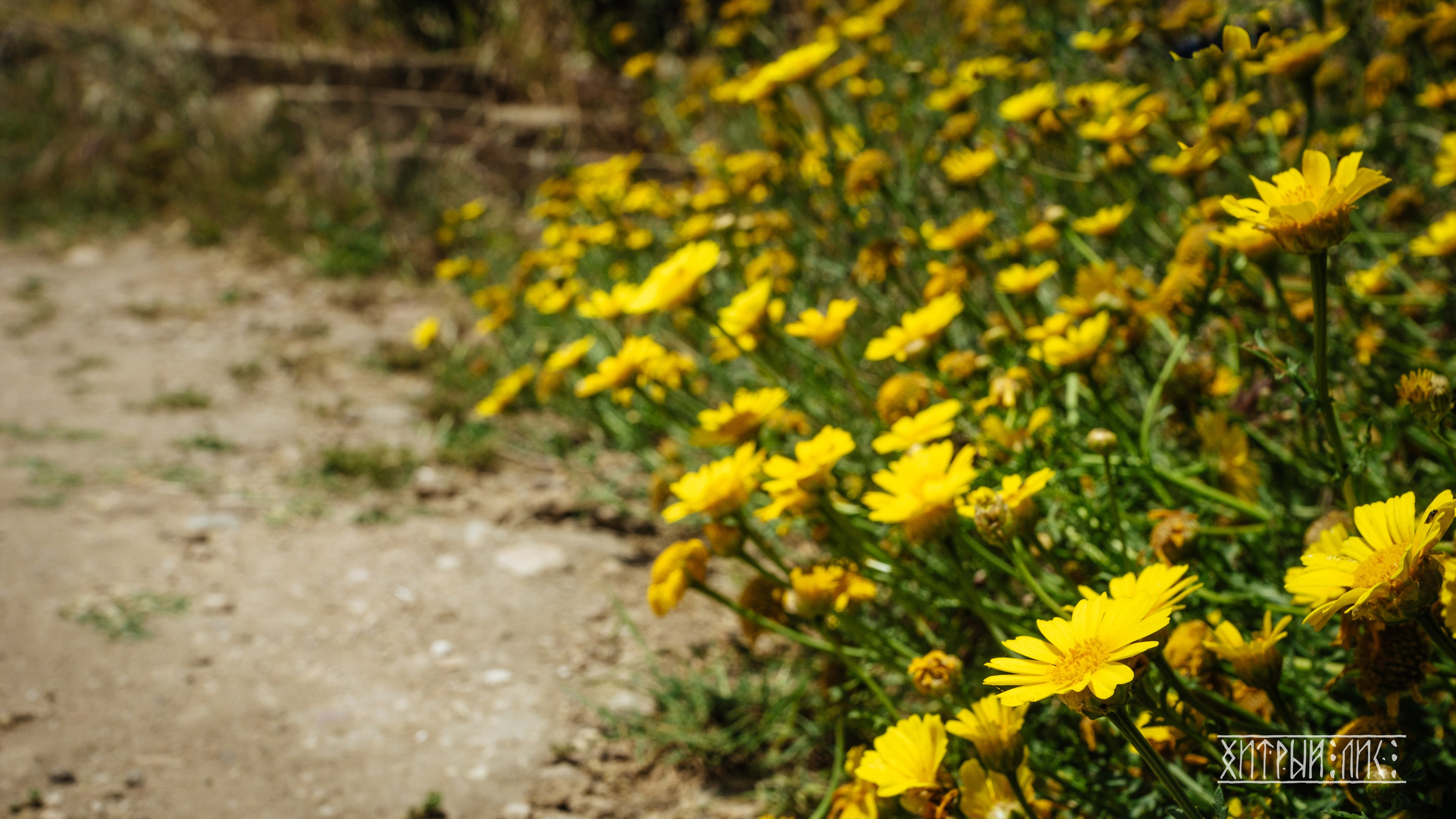 Кипр. Фотограф-путешественник Самойлов Максим «Sly Fox»